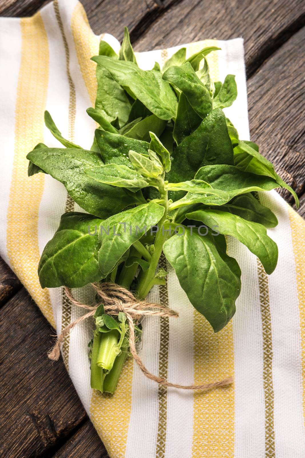 Spring spinach leaves on dark wooden background with kitchen cloth