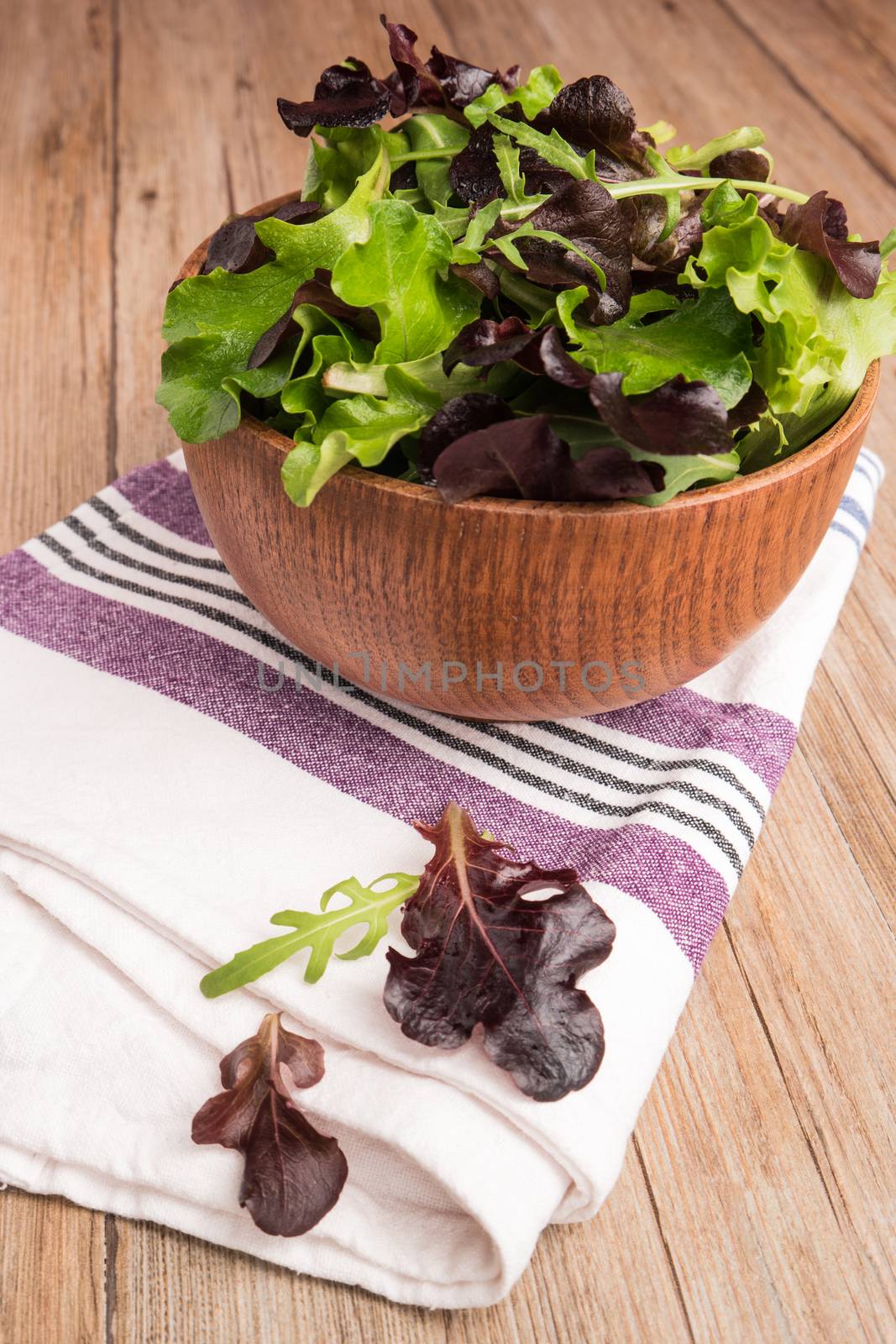 Fresh spring salad by AnaMarques