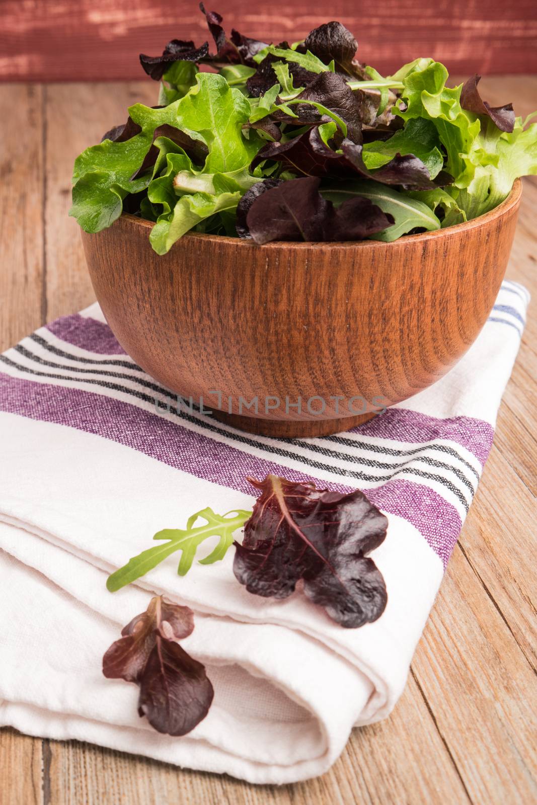 Fresh spring salad by AnaMarques