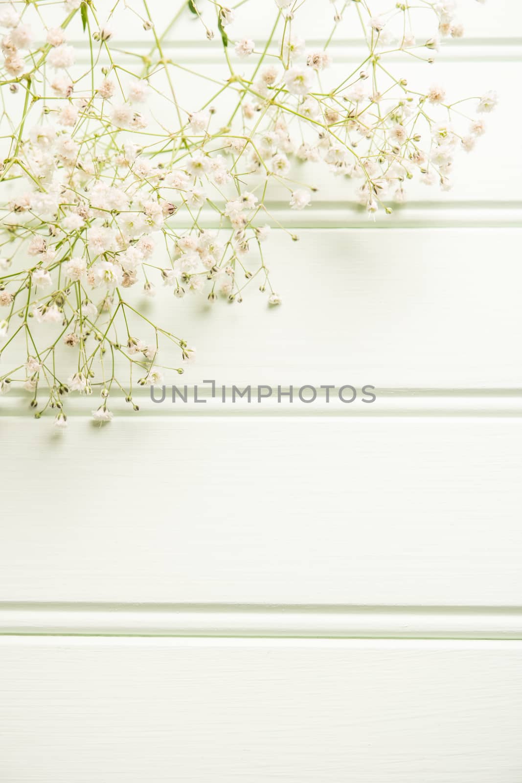 A bouquet of gypsophila flowers lay on the wooden table. Vintage style image. Copy space