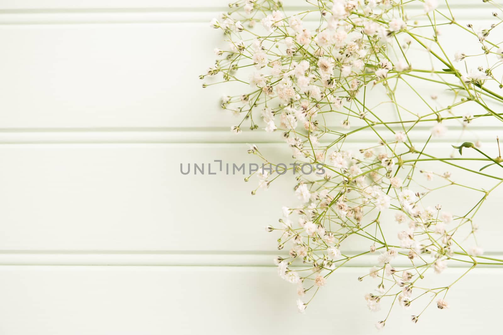 A bouquet of gypsophila flowers lay on the wooden table. Vintage by AnaMarques