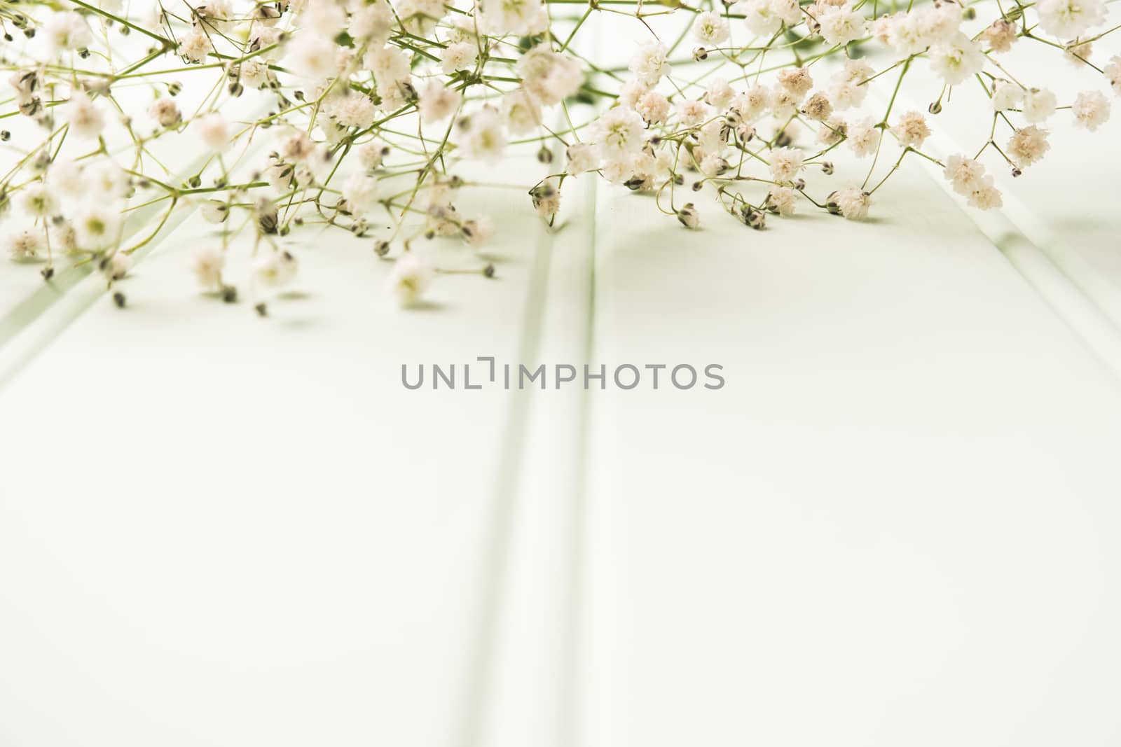 A bouquet of gypsophila flowers lay on the wooden table. Vintage style image. Copy space