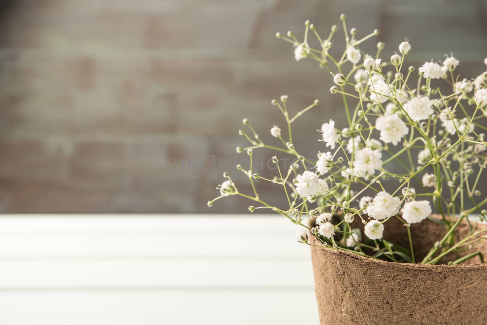 A bouquet of gypsophila flowers on the wooden table. Vintage sty by AnaMarques