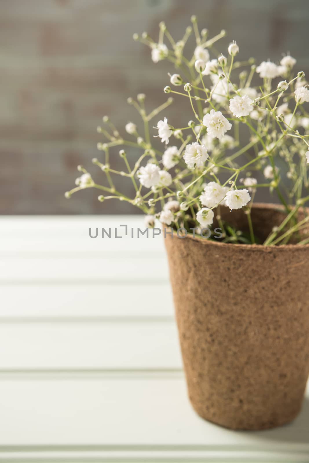 A bouquet of gypsophila flowers on the wooden table. Vintage sty by AnaMarques