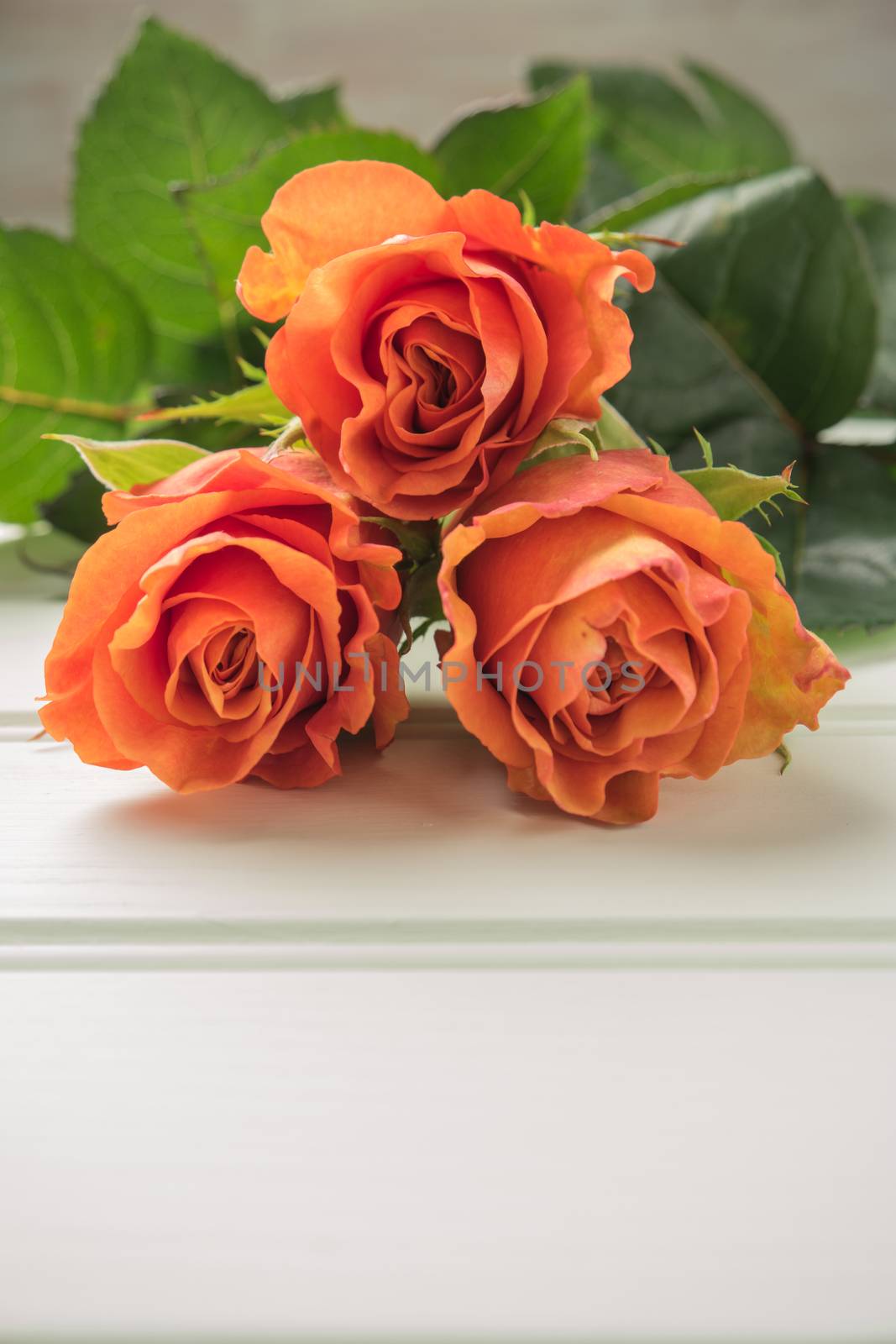 A bouquet of orange roses on wooden table. Copy space by AnaMarques