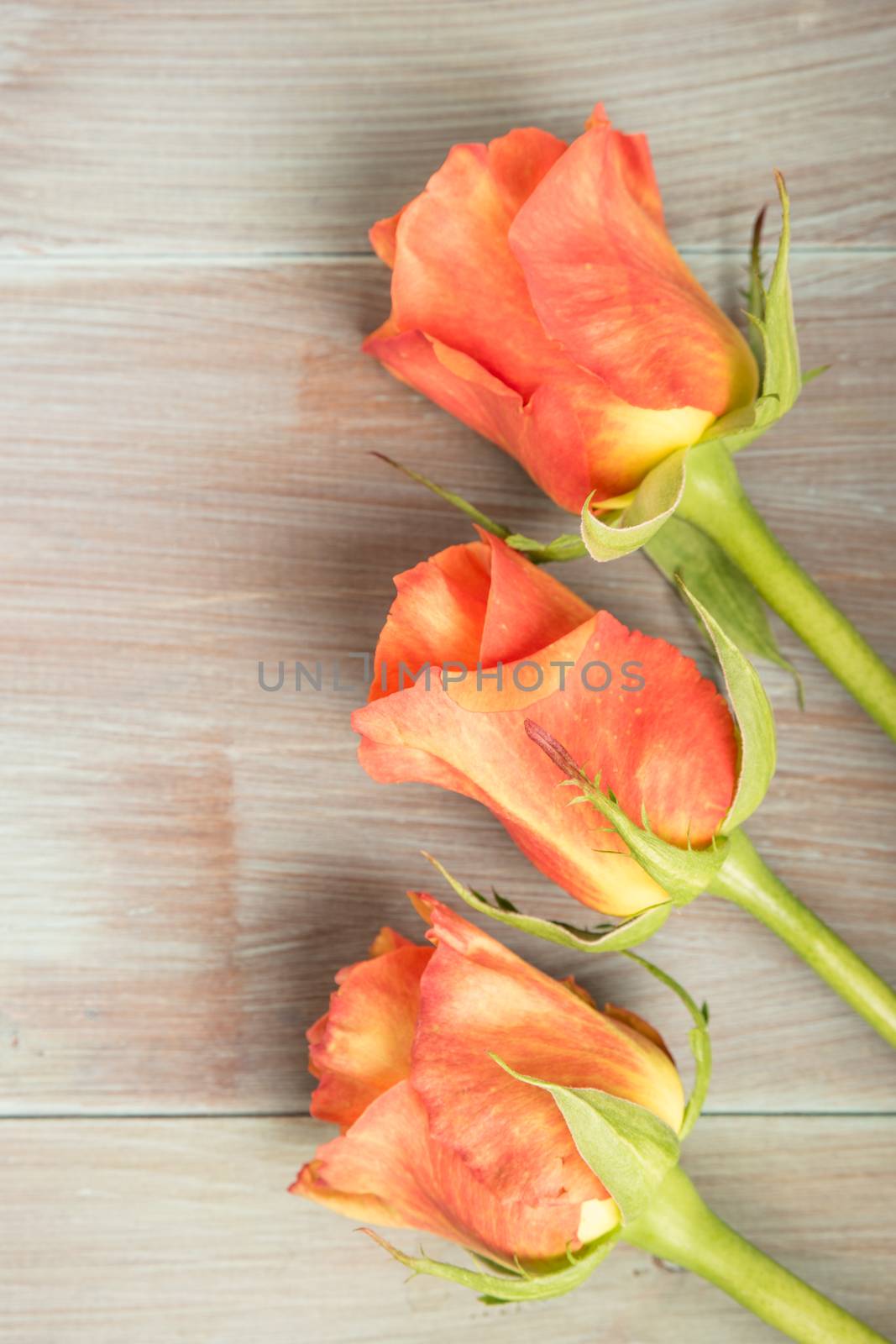 A bouquet of orange roses on wooden table. Copy space by AnaMarques