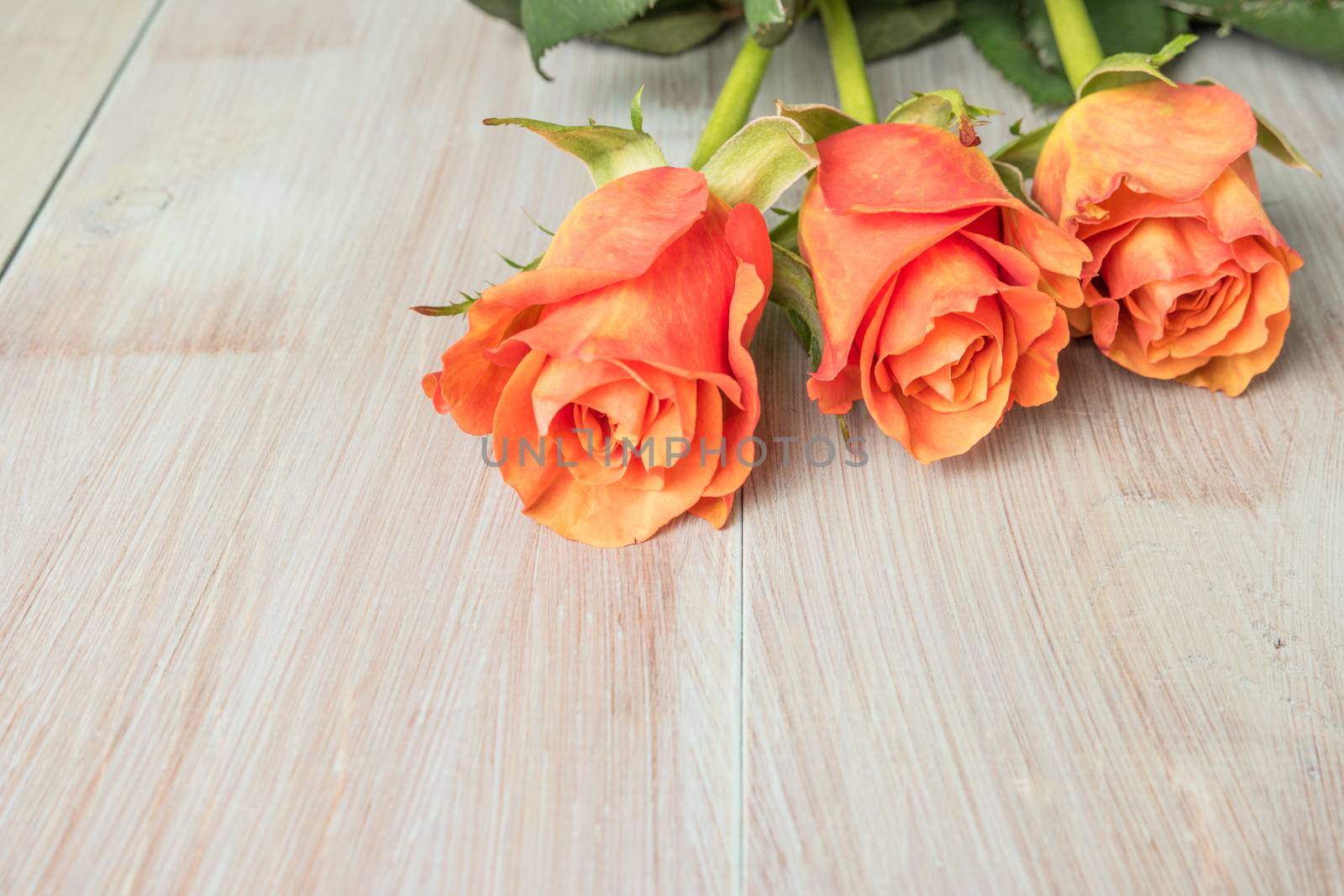 A bouquet of orange roses on wooden table. Copy space