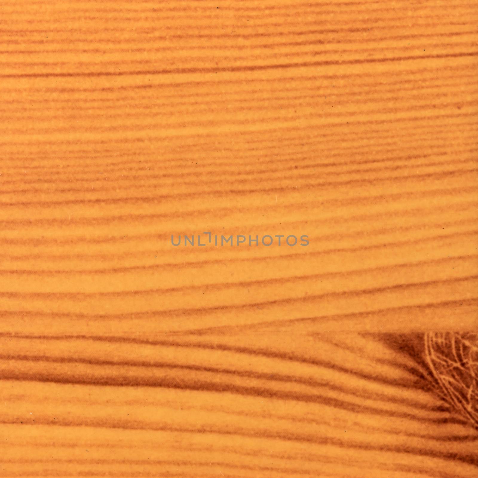 Abstract wood texture with focus on the wood's grain. Pine wood by AnaMarques