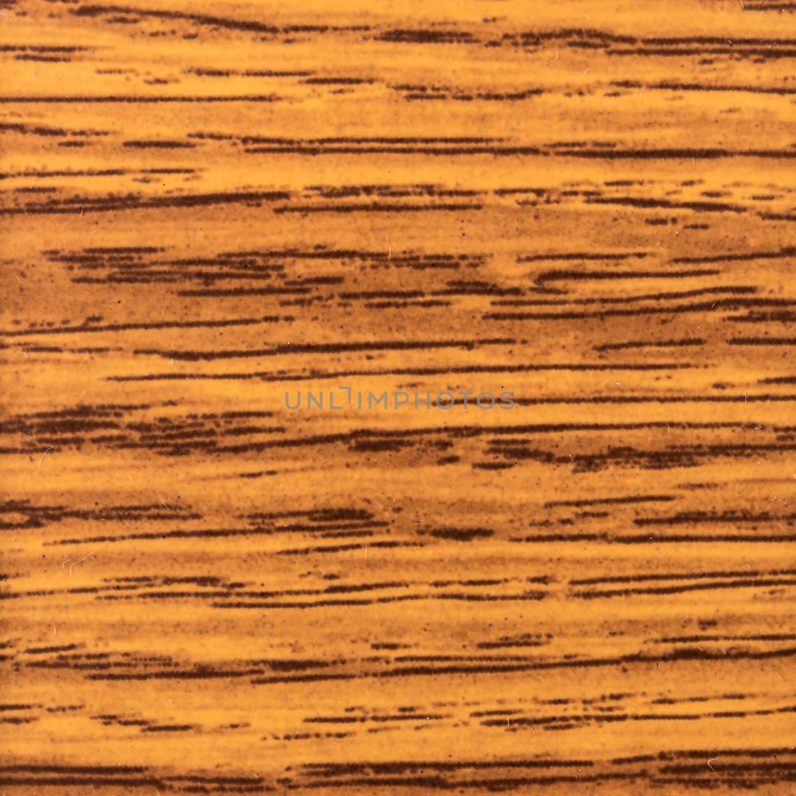 Abstract wood texture with focus on the wood's grain. Mahogany w by AnaMarques