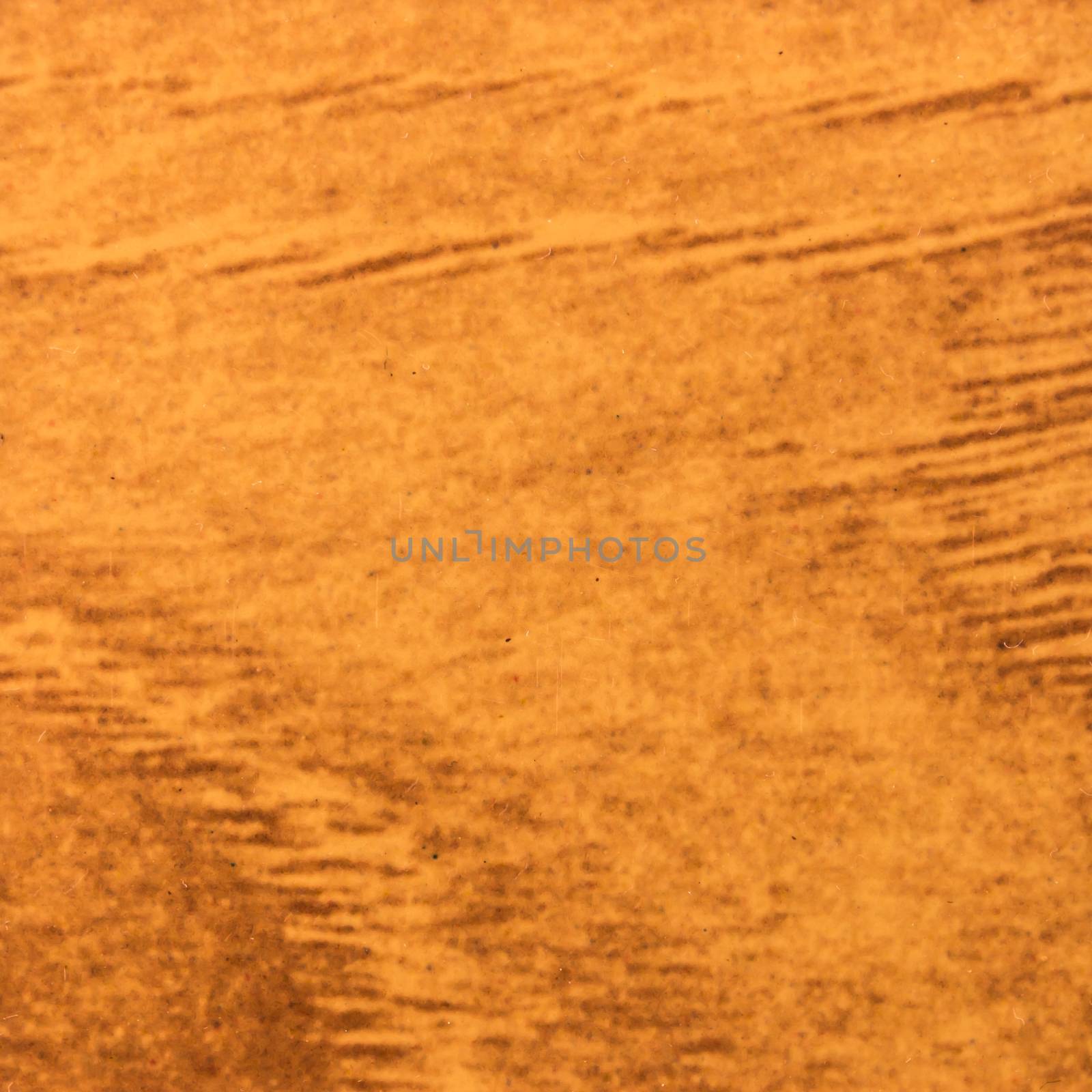 Abstract wood texture with focus on the wood's grain. Roots wood