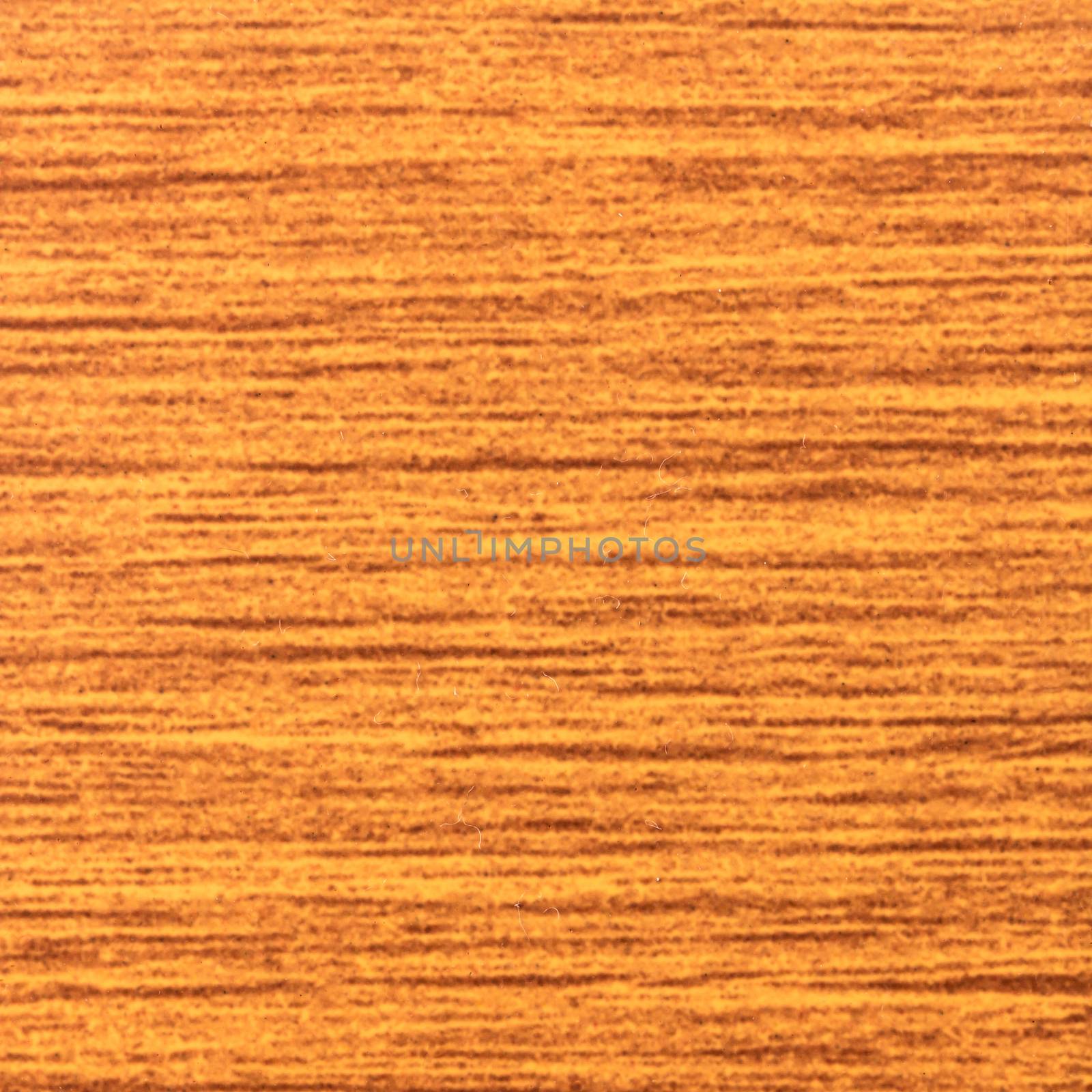 Abstract wood texture with focus on the wood's grain. Teak wood