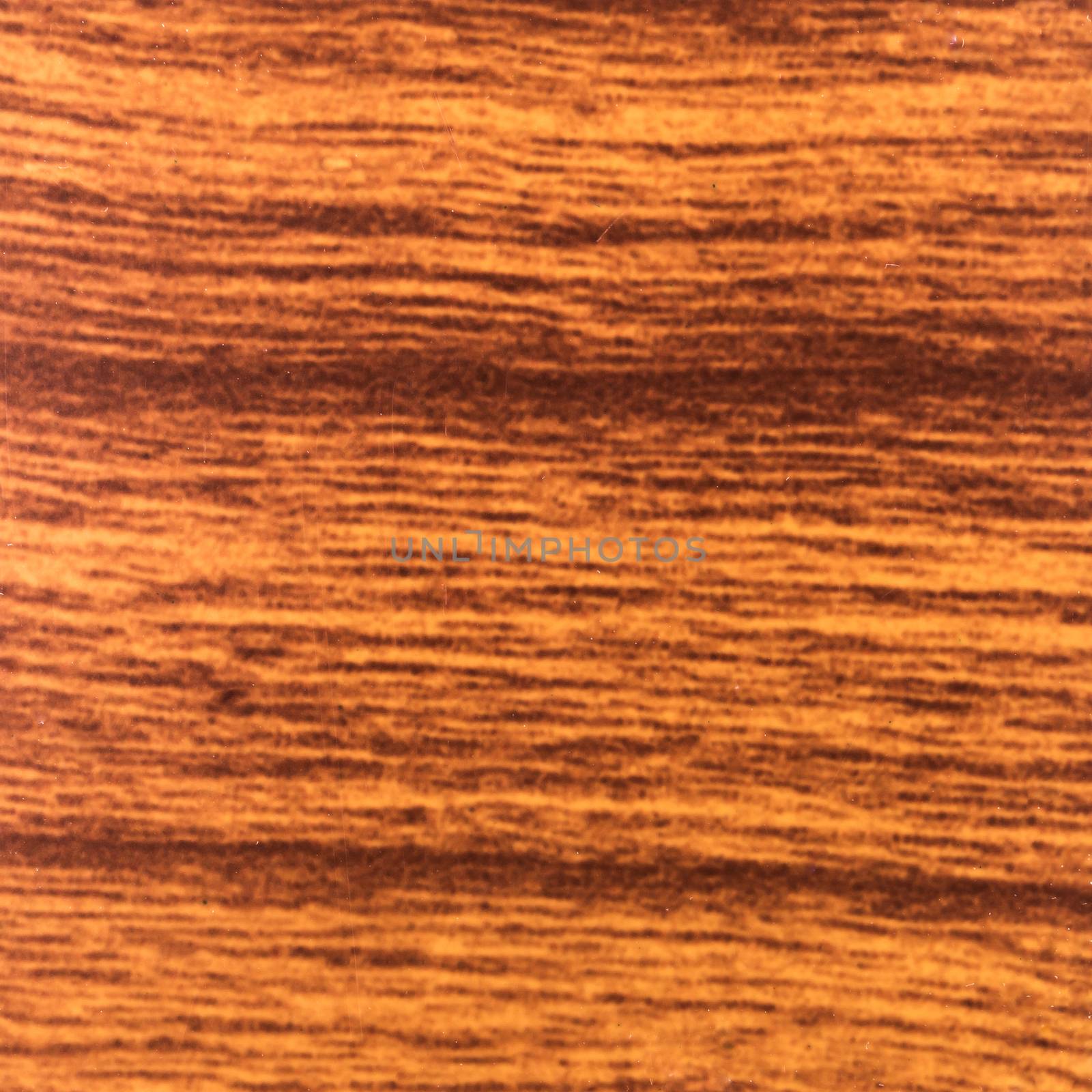 Abstract wood texture with focus on the wood's grain. Teak wood by AnaMarques