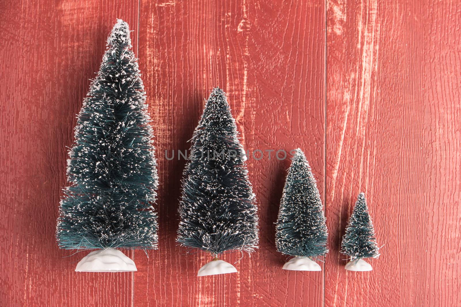 Miniature evergreen trees on red colored wooden board. Top view with copy space