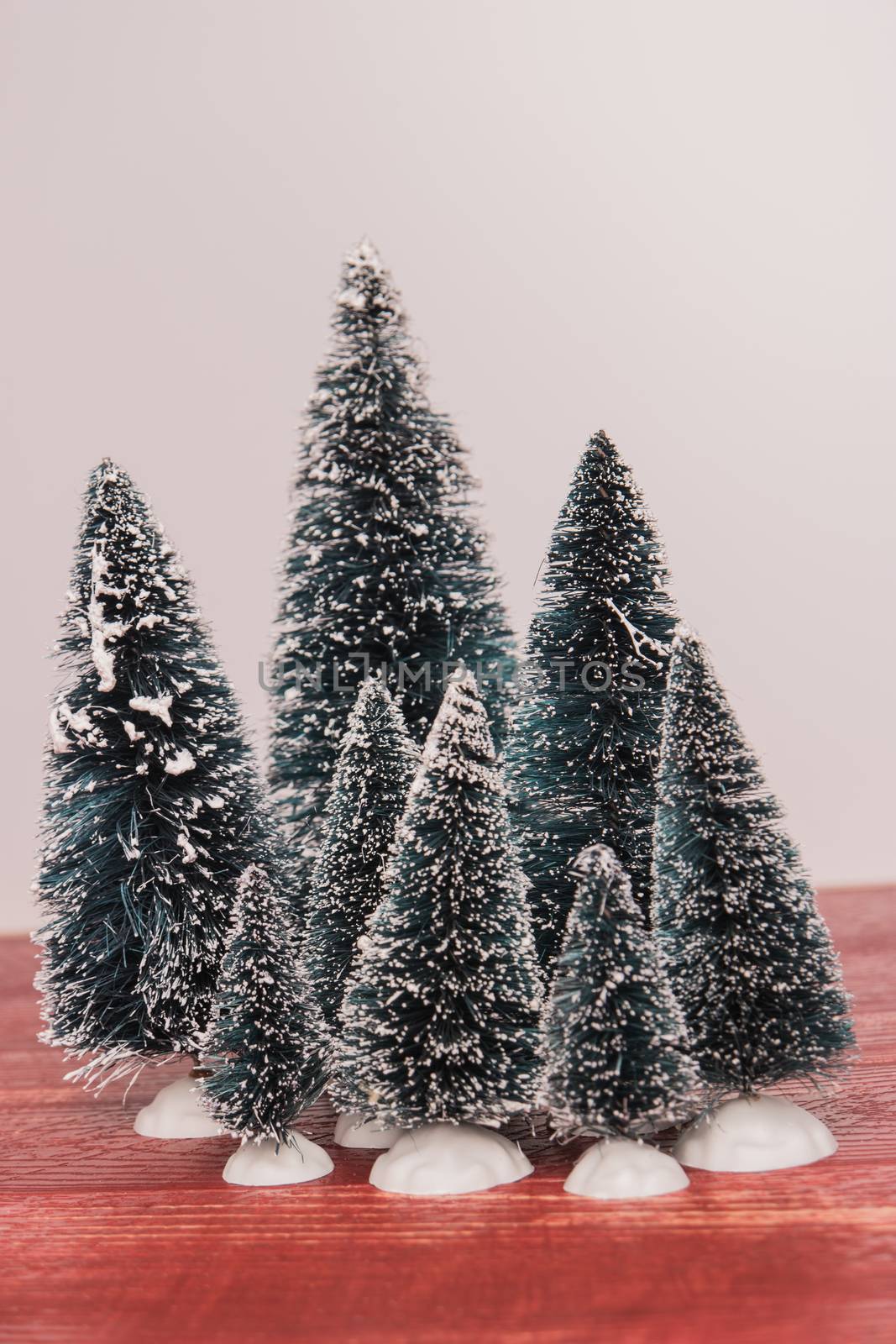 Miniature evergreen trees on rustic red colored wooden board