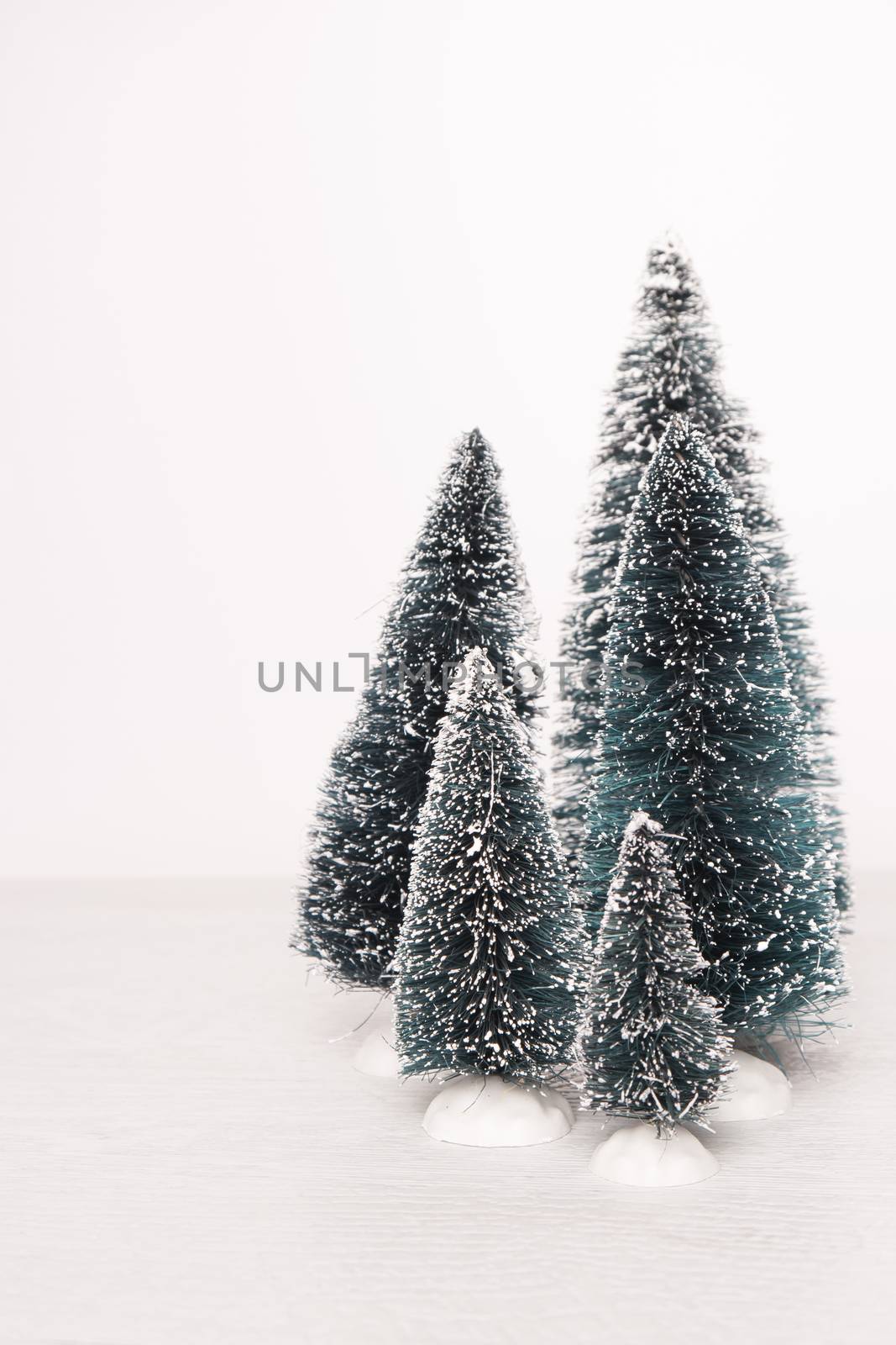 Miniature evergreen trees by AnaMarques