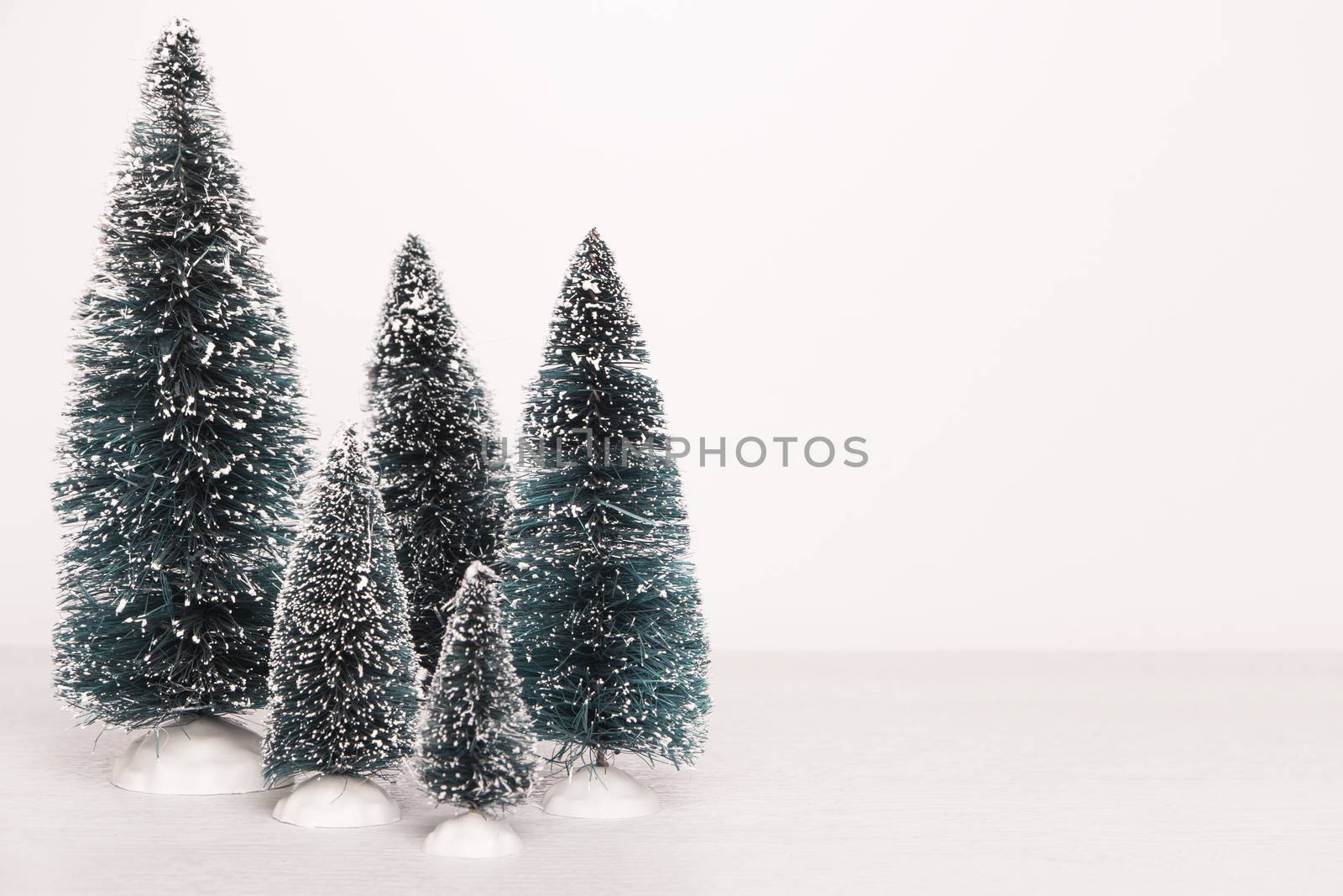 Miniature evergreen trees on white wooden board