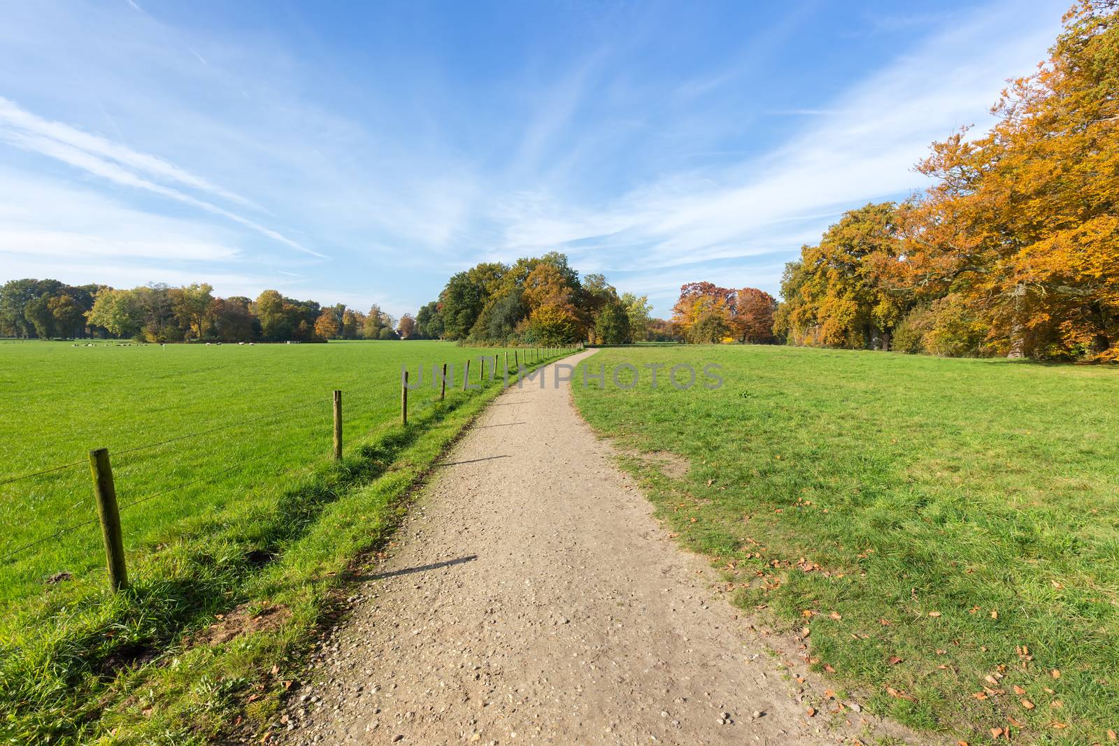 Sandy path between green meadows with autumn colors by BenSchonewille