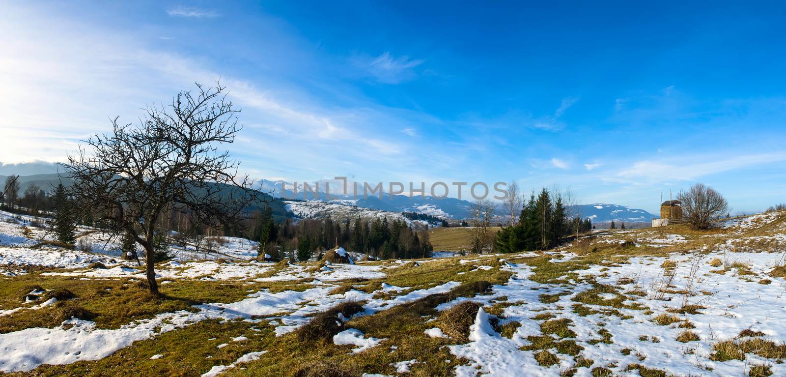 Carpathian mountain valley covered with fresh snow. Majestic landscape. Ukraine, Europe