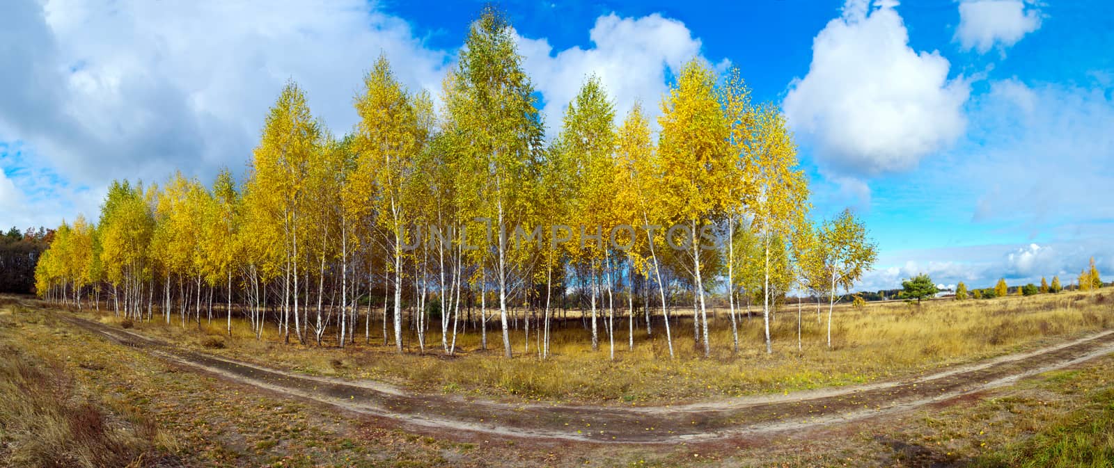 Pathway through the autumn forest by dolnikow