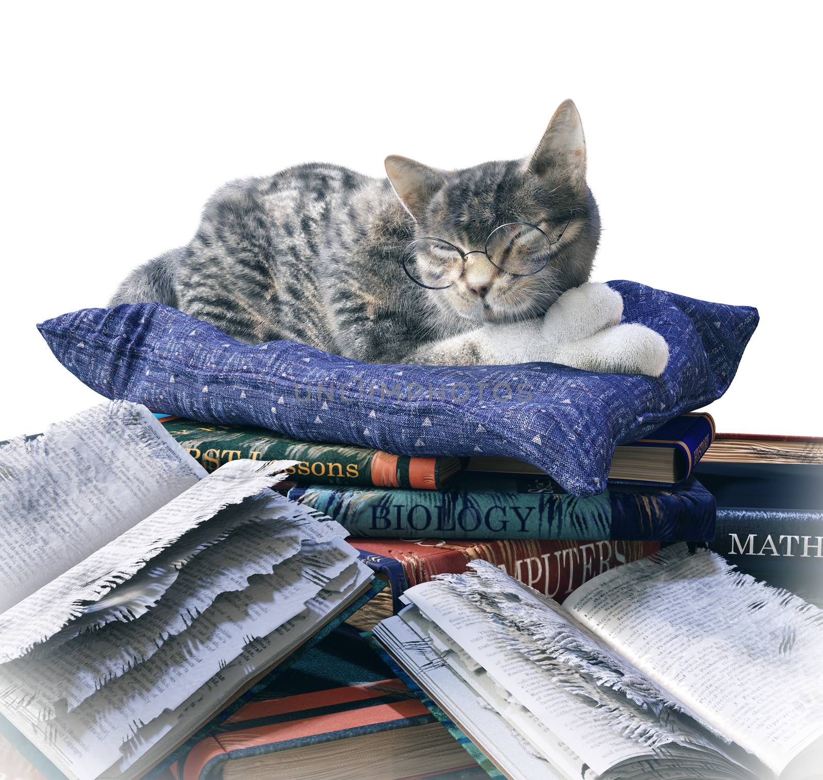 scientist cat and scratched school books funny isolate composition