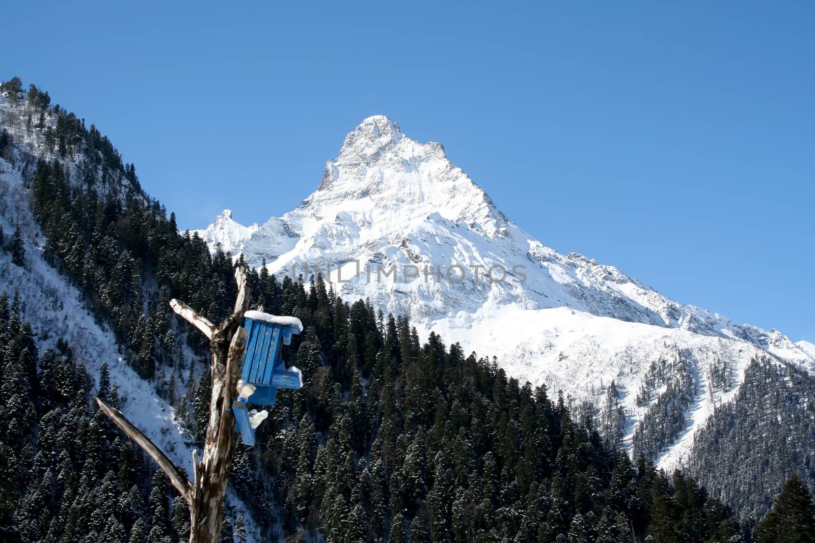 In the mountains of Dombai, Caucasus, the house for birds in mountains