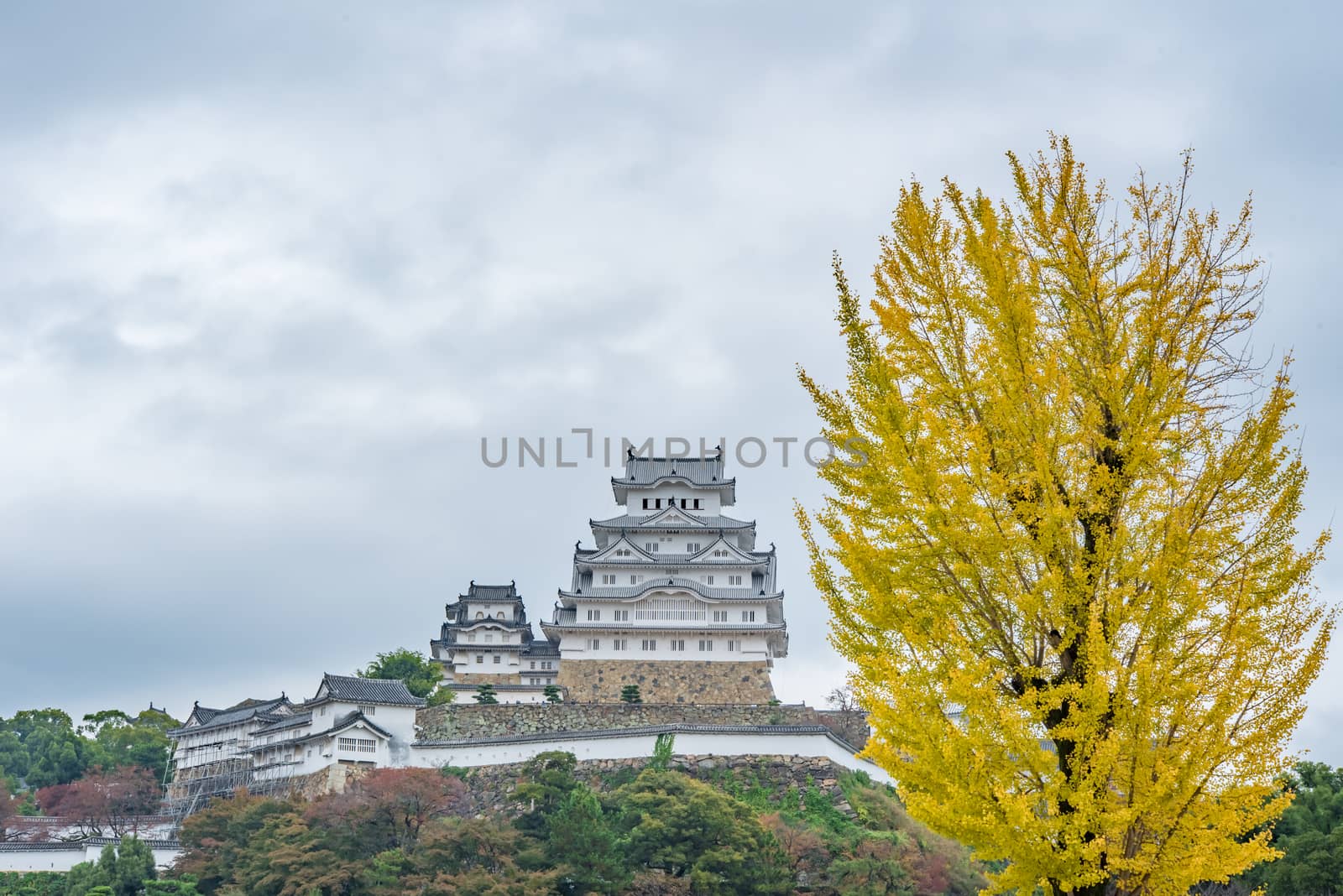 Himeji Castle in Japan, also called the white Heron castle - UNESCO world heritage site.