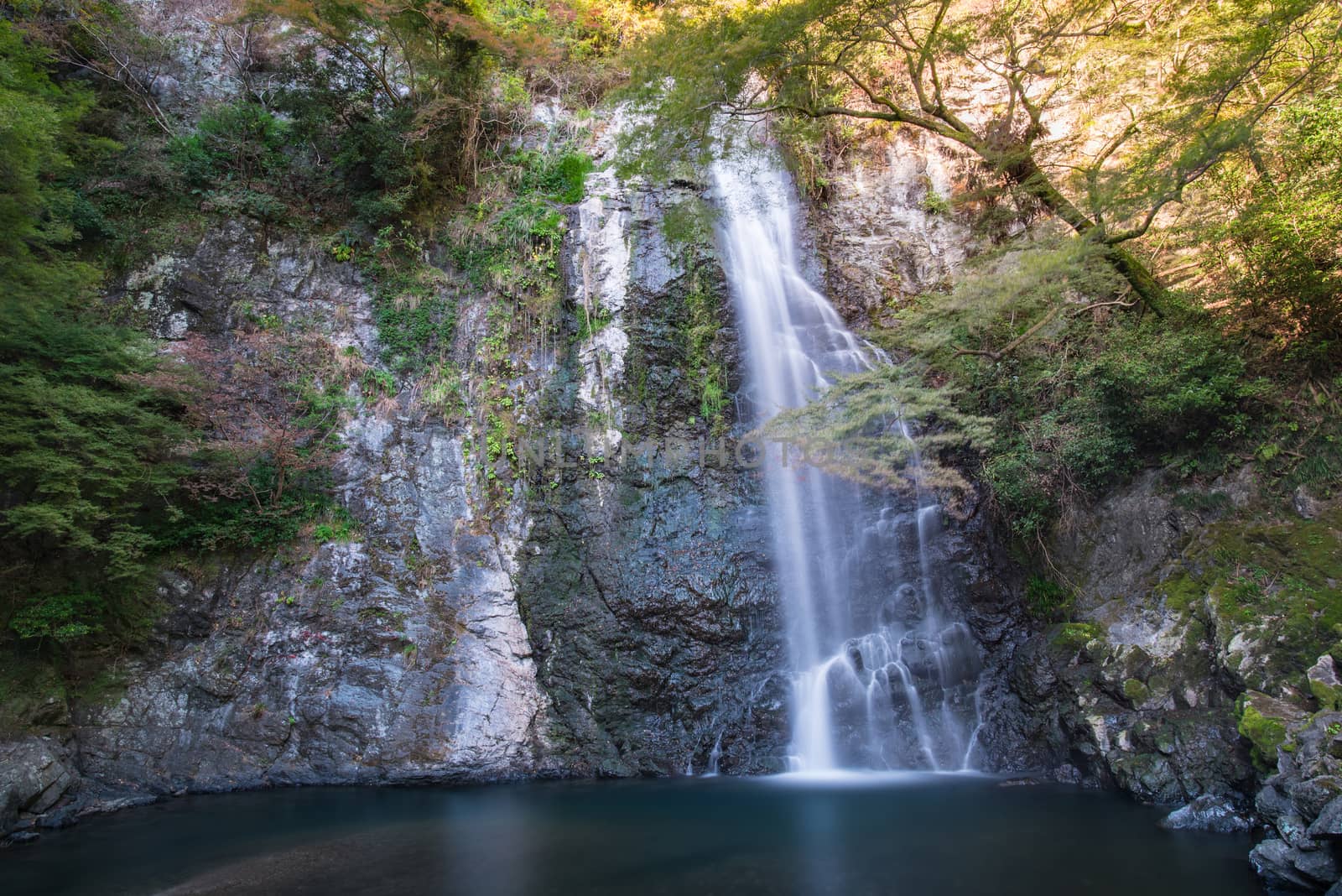 Mino Falls Meiji-no-mori Mino Quasi-national Park (Mino Waterfall) Minoo Park Stream by MCVSN