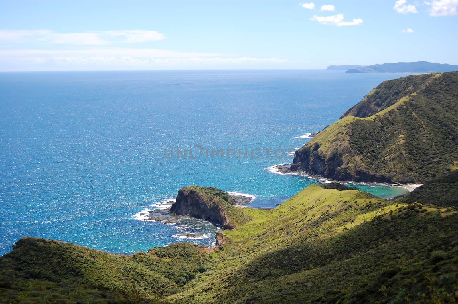 Cliff ocean coast at Cape Reinga, Northland, North Island, New Zealand