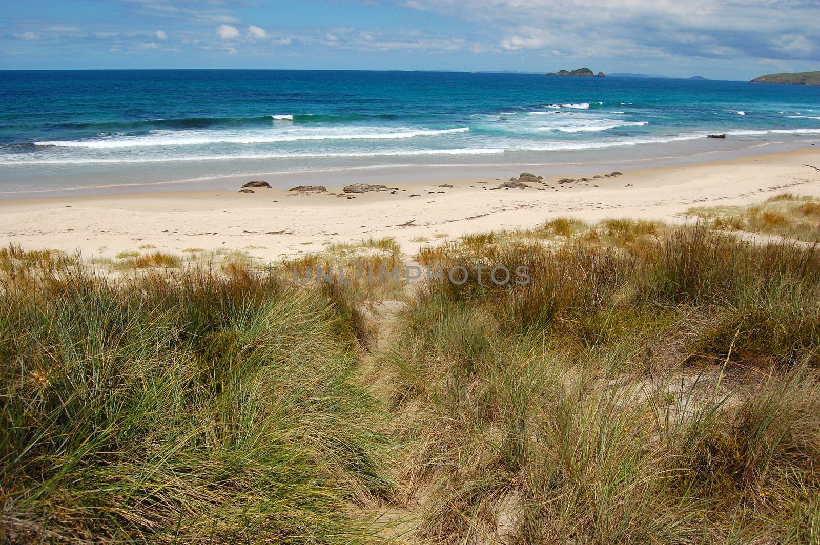 White sand beach sea coast in outback of New Zealand by danemo