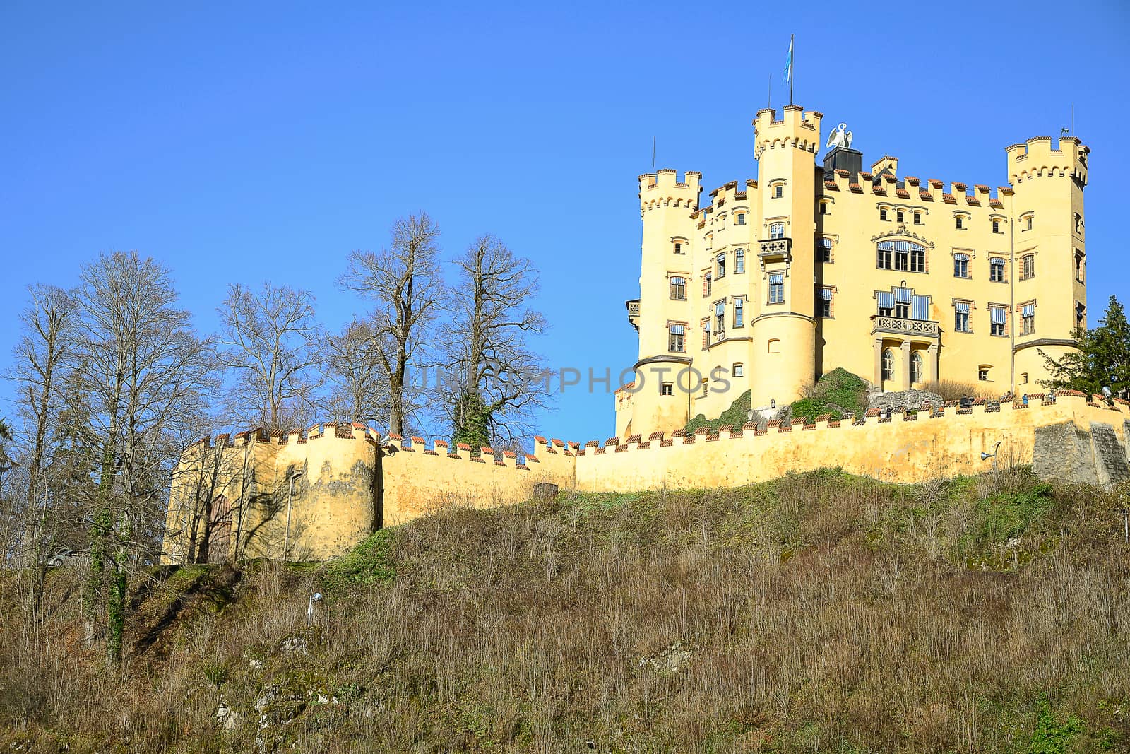 Hohenschwangau castle in early winter at Fussen,Germany by gypsygraphy