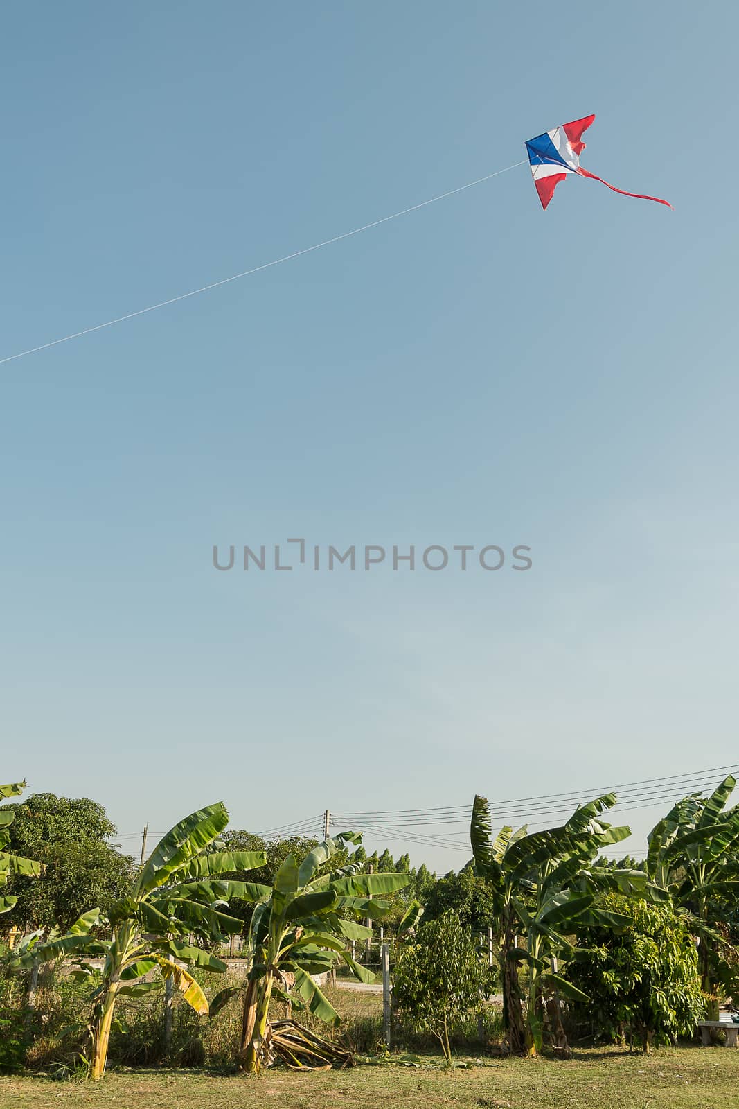 Kite flying in the wind and clear sky with banana trees at the bottom