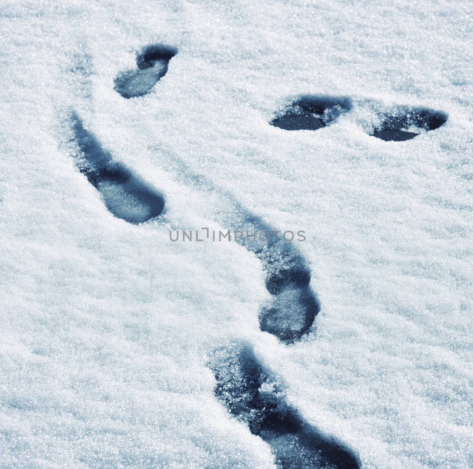 abstract background track shoes in melting snow