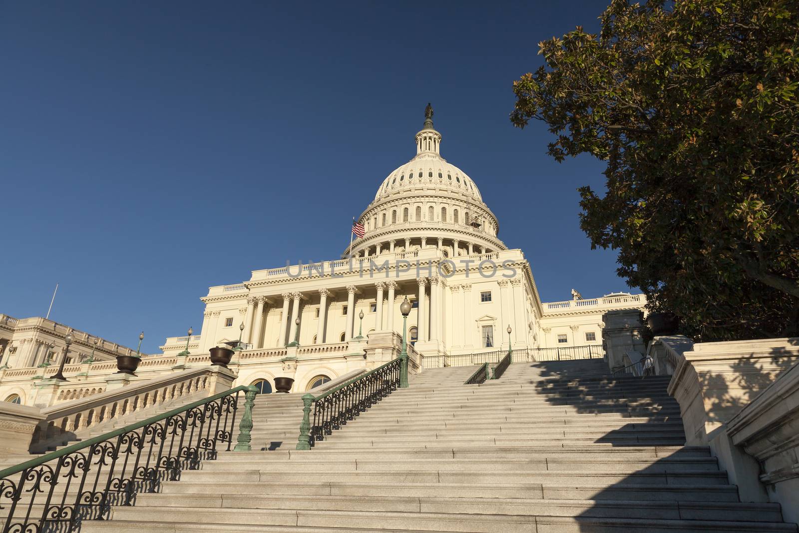 The US Capitol in Washington D.C.