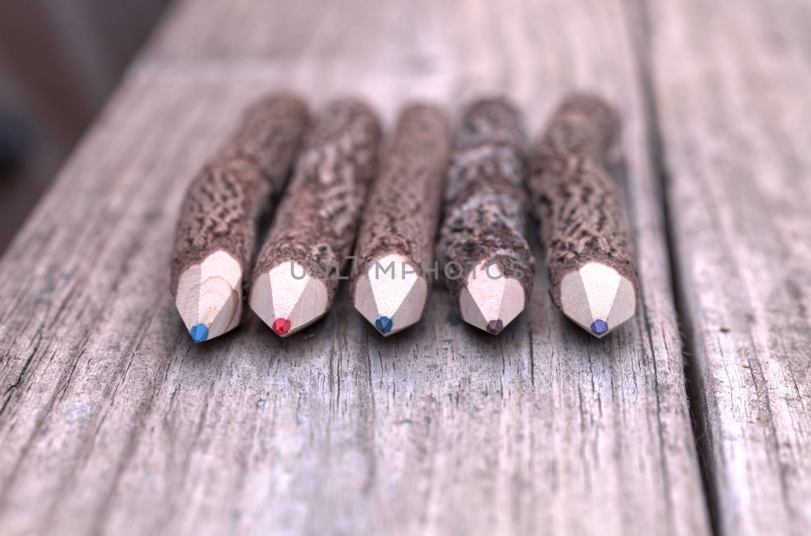 Macro view of bark covered colored pencil tips on a wood bench background