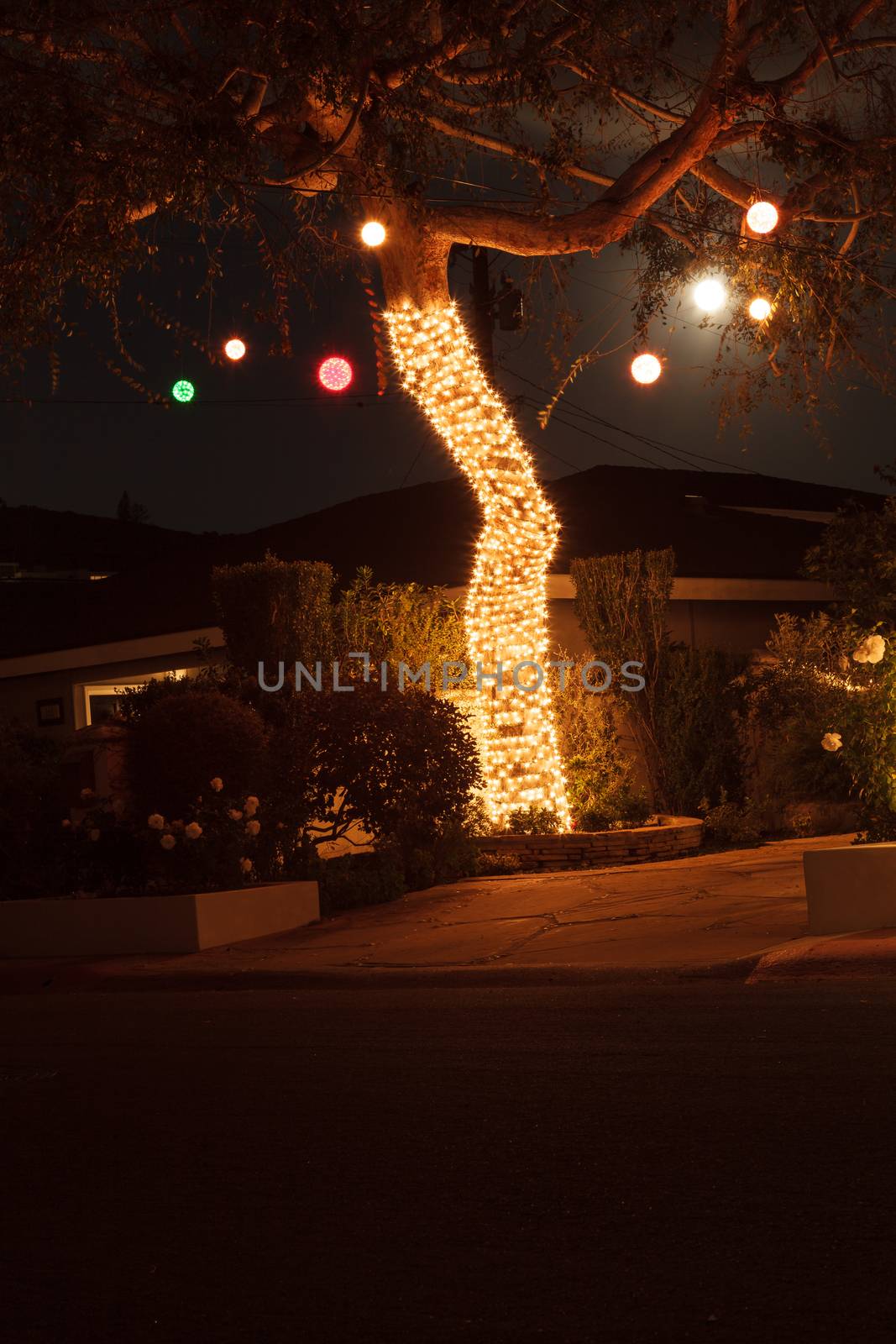 Full moon peaks through a tree with Christmas lights and balls in Laguna Beach, California.