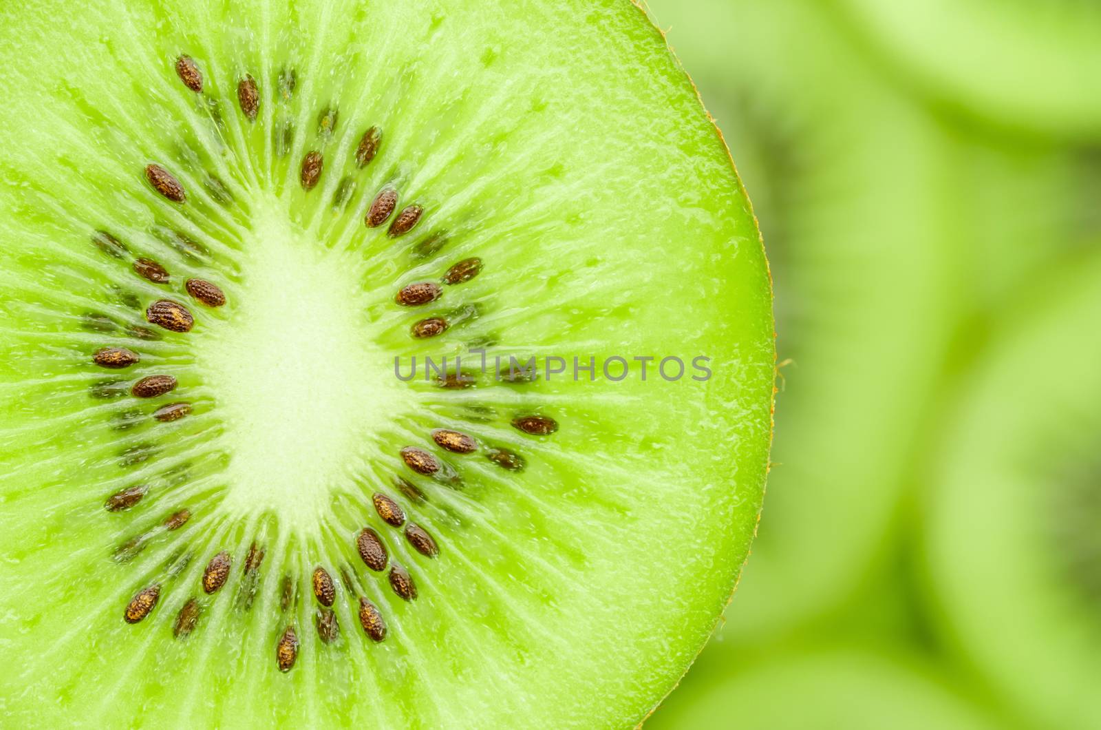 Slices of kiwi fruit on kiwi background.