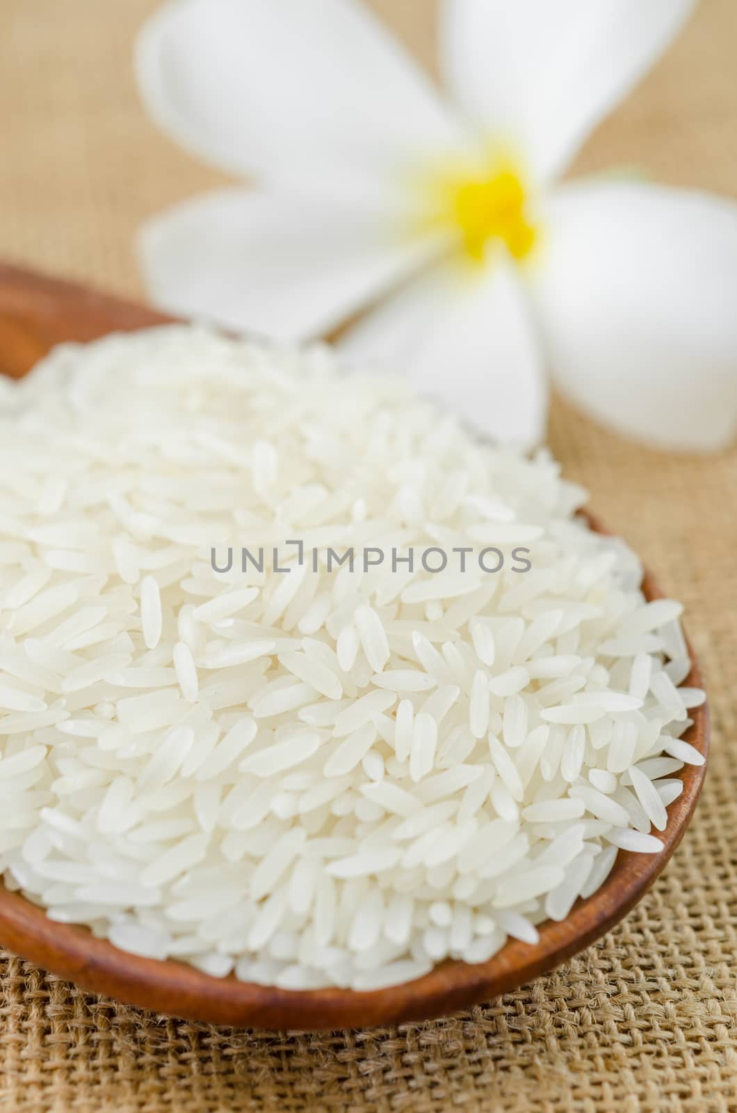 White long uncooked rice on wooden spoon
