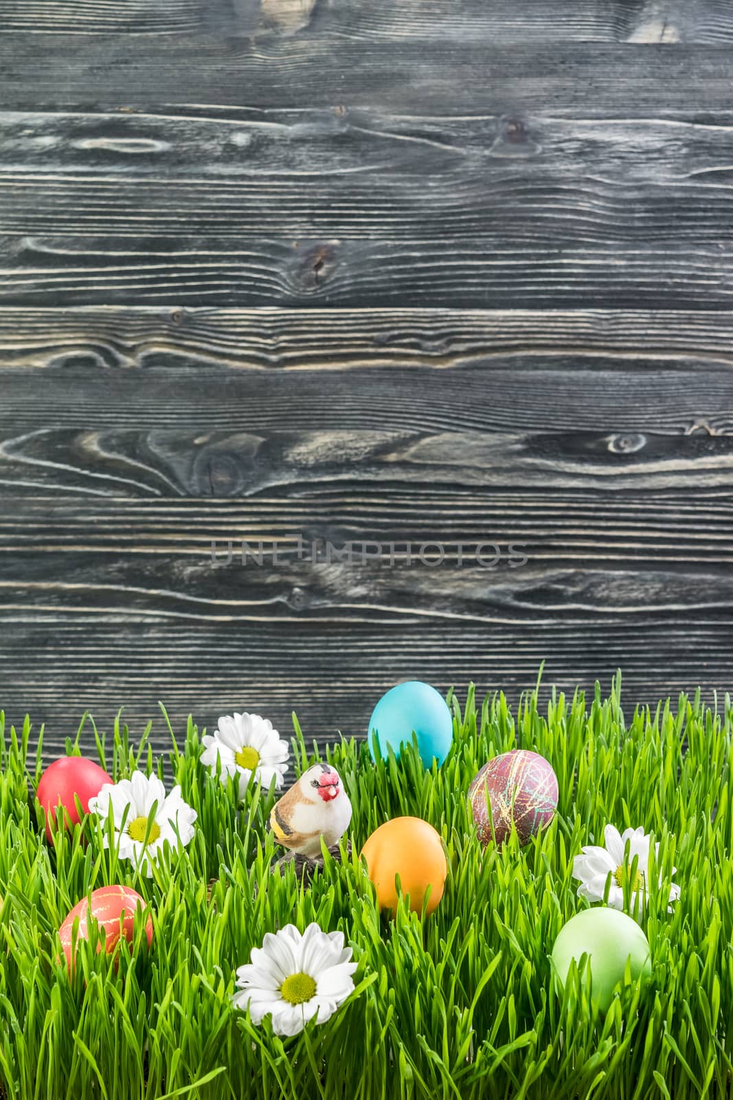 Easter eggs in grass with flower, wooden background