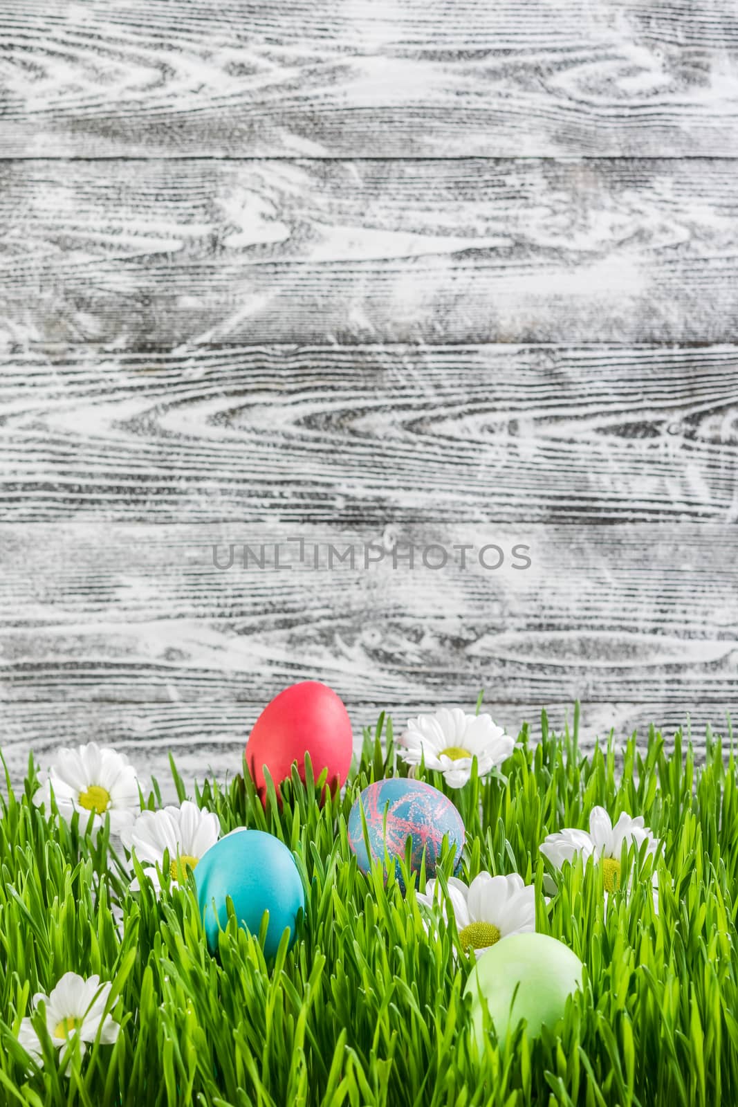 Easter eggs in grass with flower, wooden background