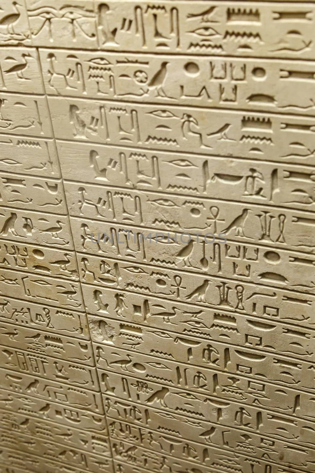 FLORENCE, ITALY - SEPTEMBER 20, 2015 : Close up detailed view of egyptian tablet inscriptions with hieroglyphic signs exhibited in Florence Archeology Museum.