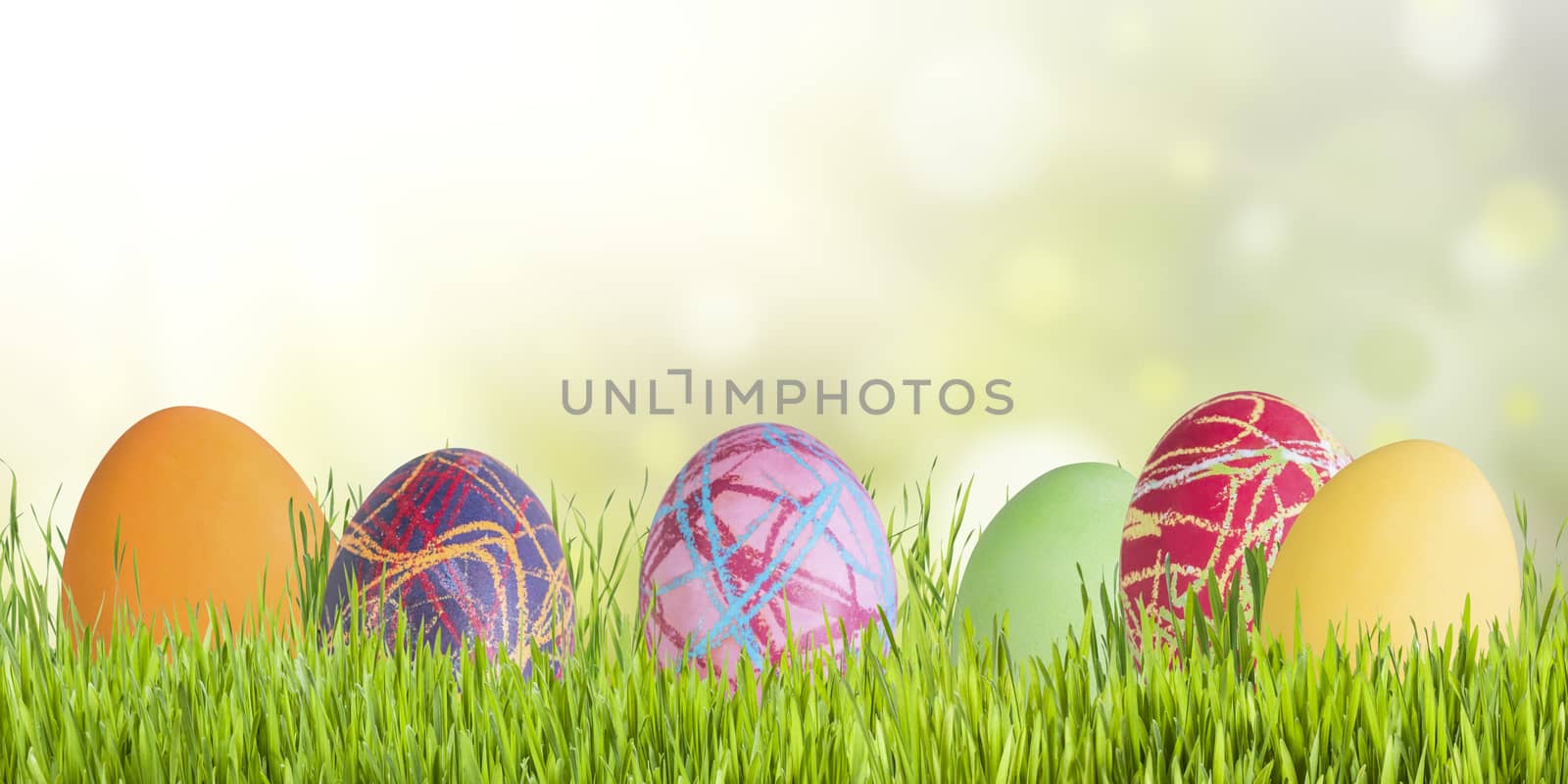 Easter holiday background with eggs and flowers