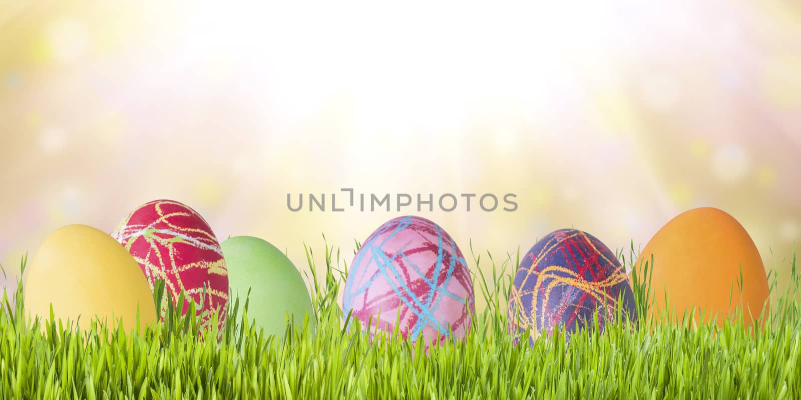 Easter holiday background with eggs and flowers