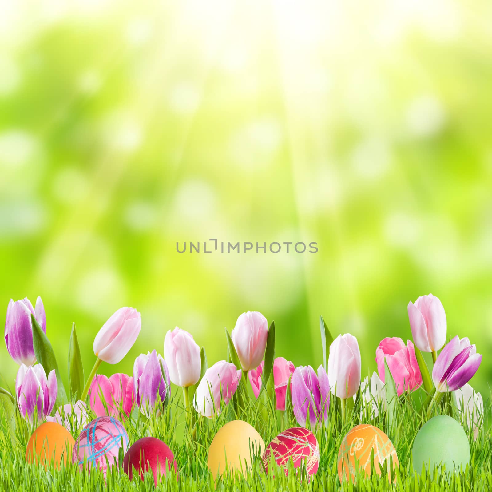 Easter nature holiday background with eggs and flowers