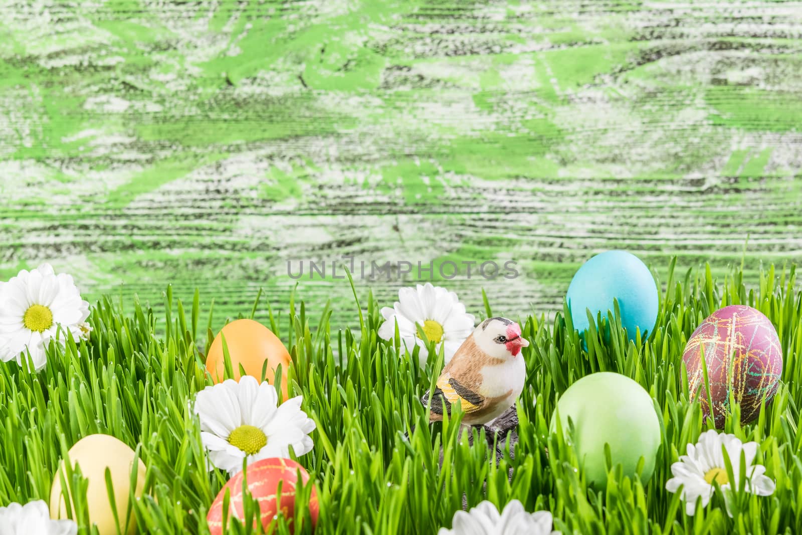 Easter background with eggs in grass and flowers, wooden backdrop