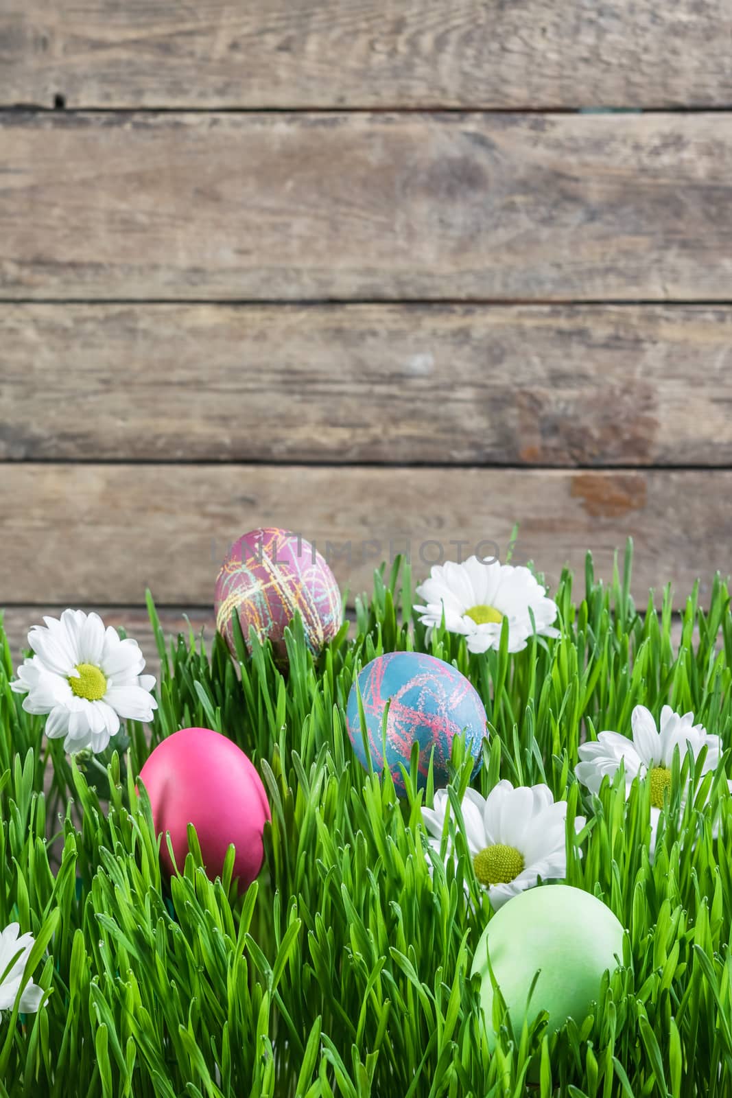 Easter background with eggs in grass and flowers, wooden backdrop