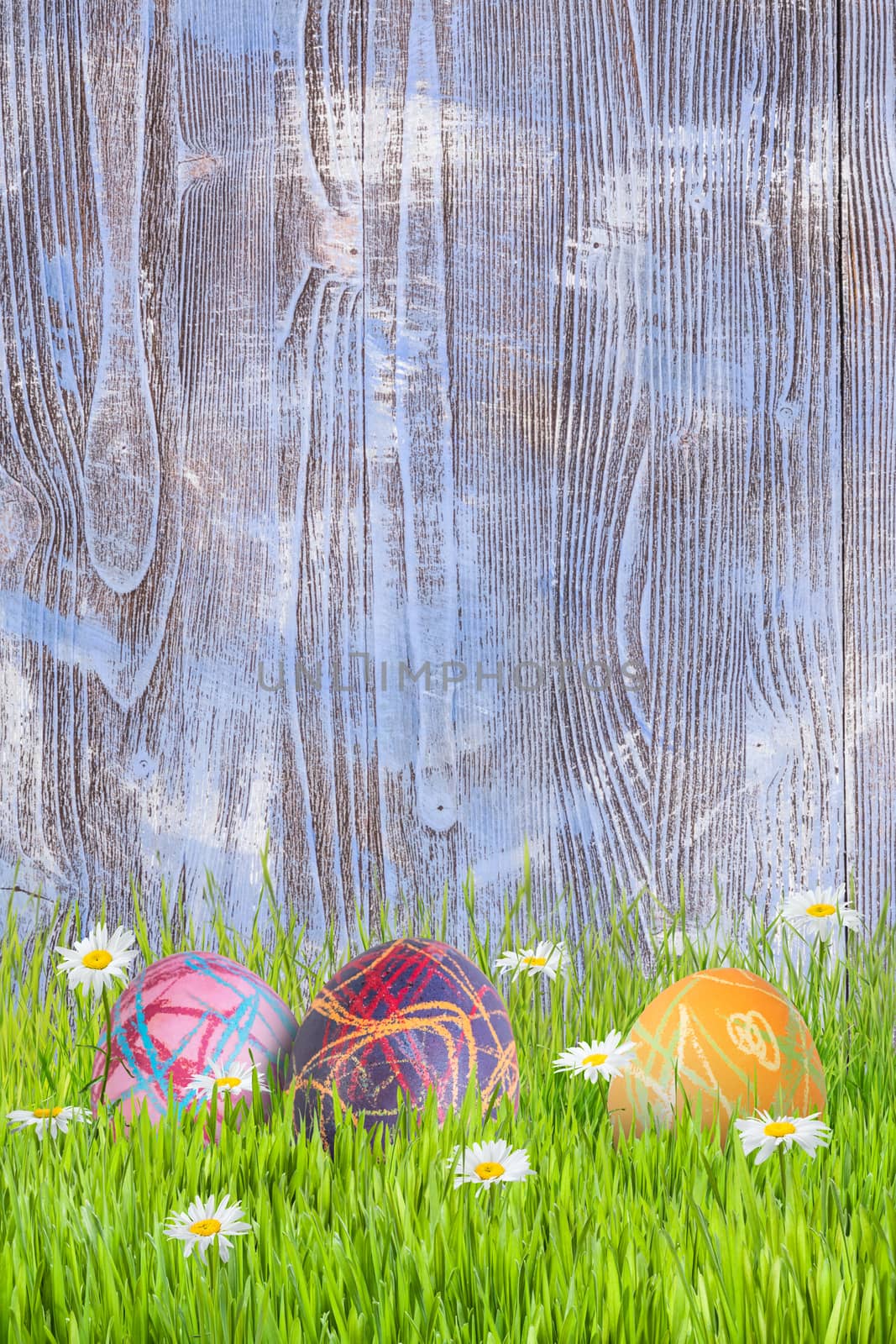 Easter background with eggs in grass and flowers, wooden backdrop