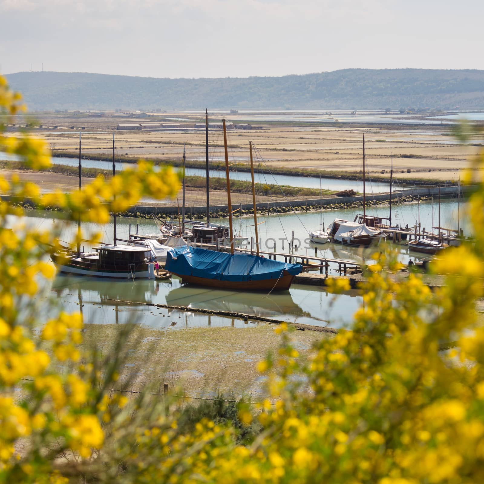 Natural park Secovlje Salina in Slovenia, Europe. View of traditional wooden fishing boats, salt evaporation ponds with green mediterranean hills in background.