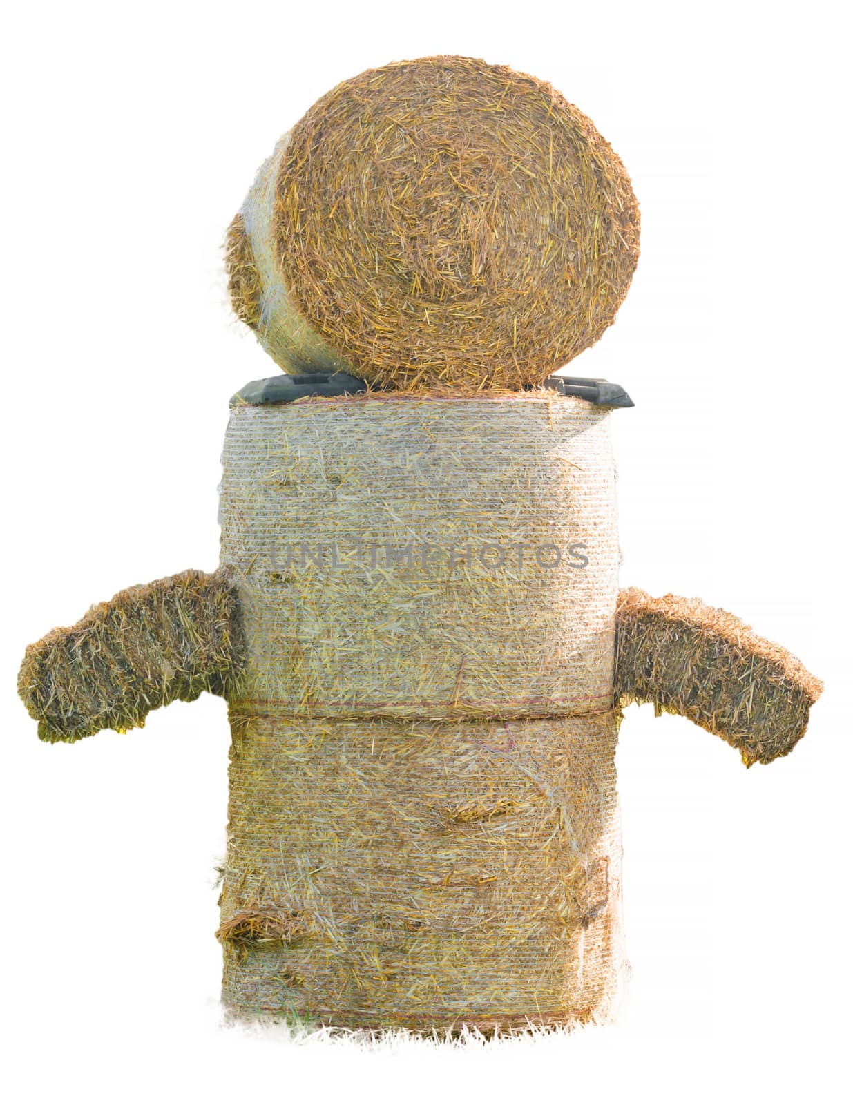 Hay bale figure  by JFsPic