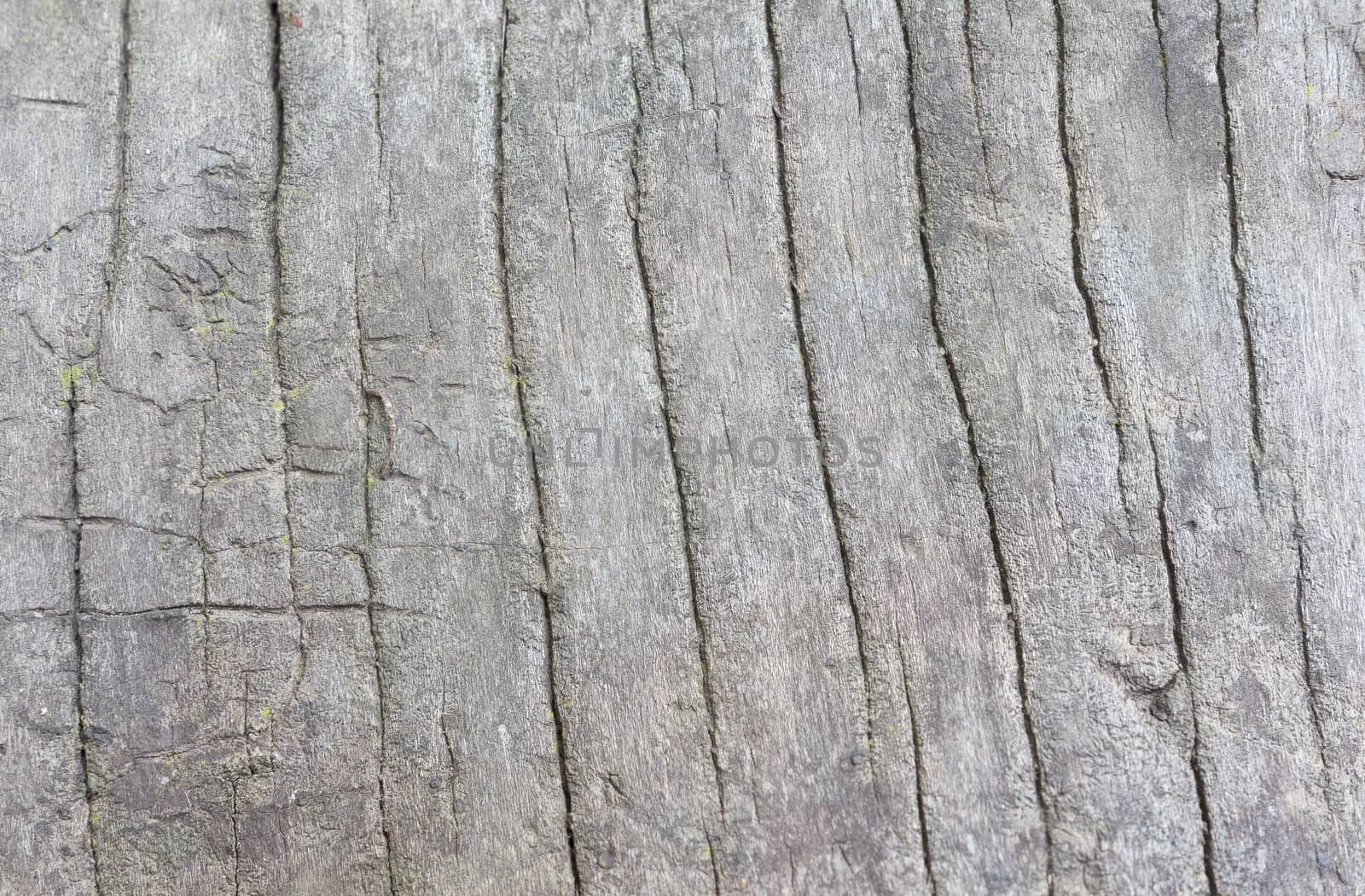 Old, cracked wood background, high resolution