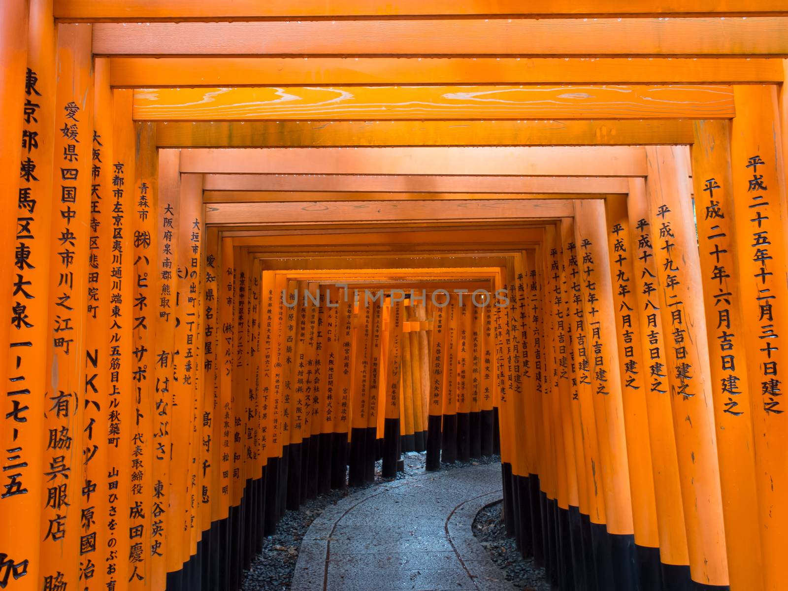 Fushimi Inari Shrine in Kyoto by zkruger